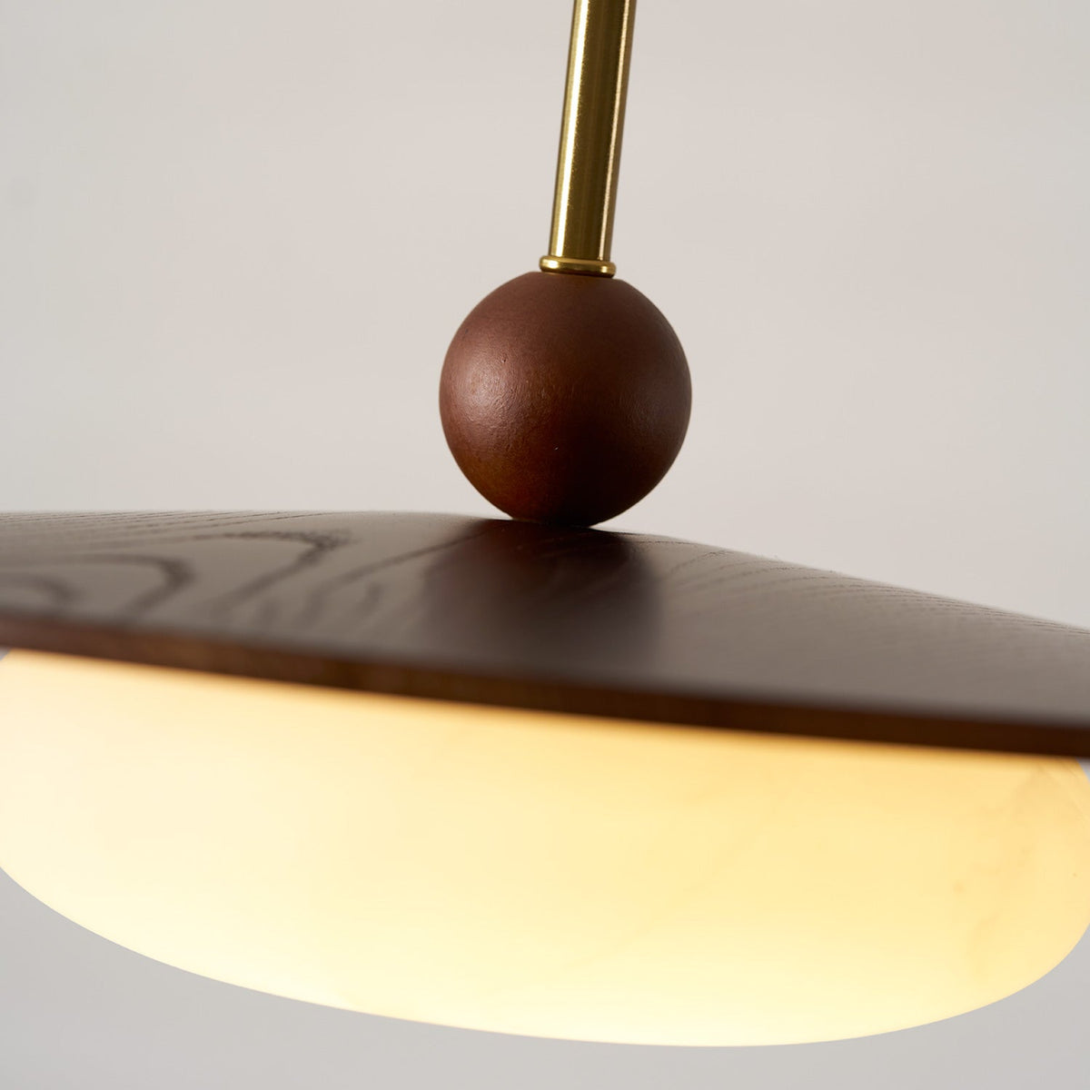 Viraeriella hanglamp