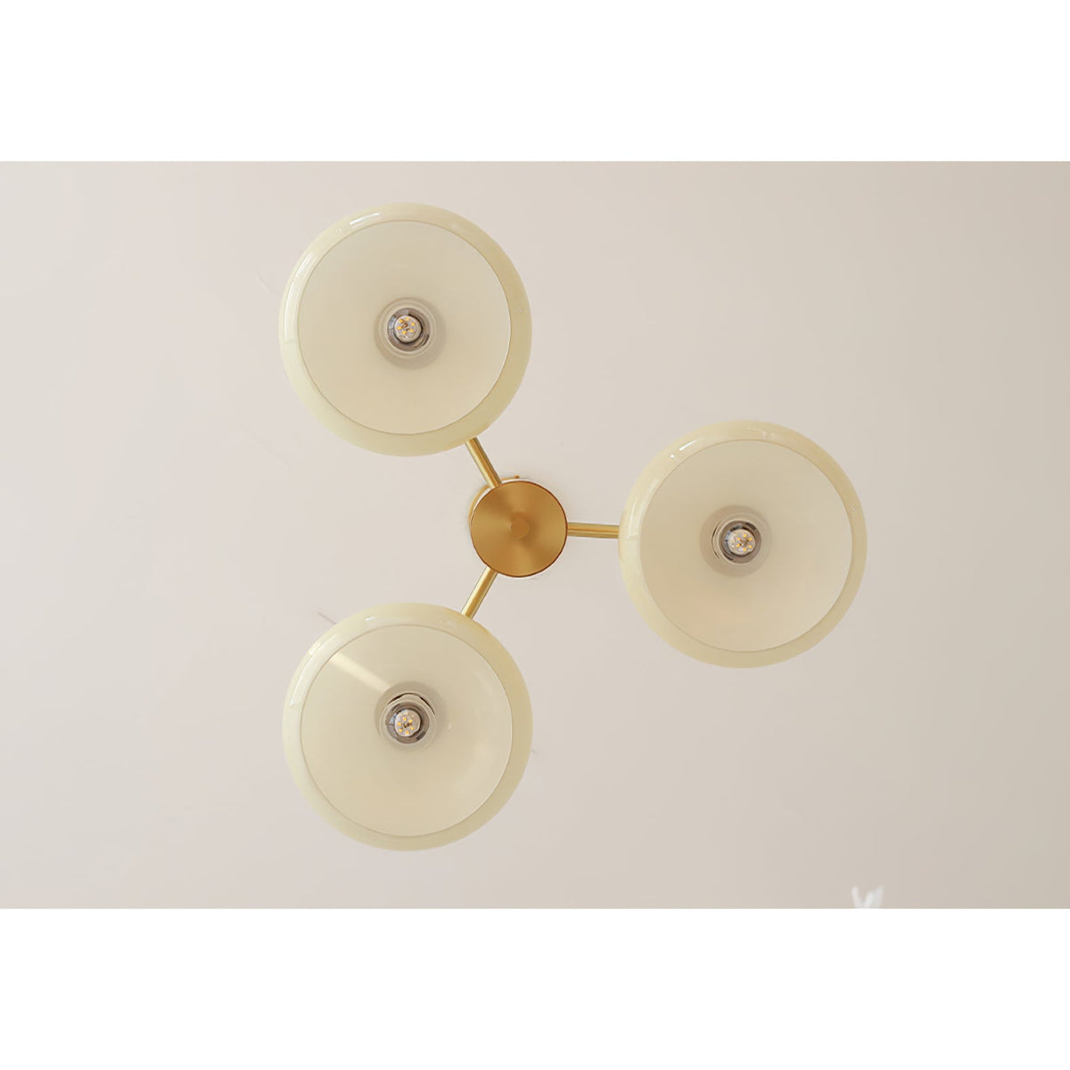Velisian Natuurlijke Persimmon glas Kroonluchter