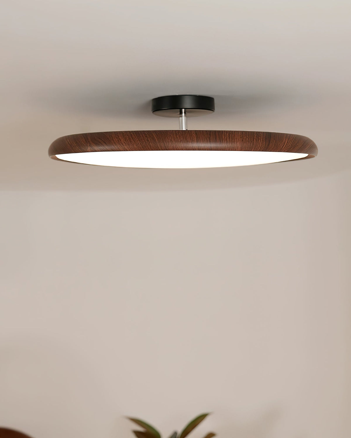 Aira Oval Semi-Flush plafondlamp