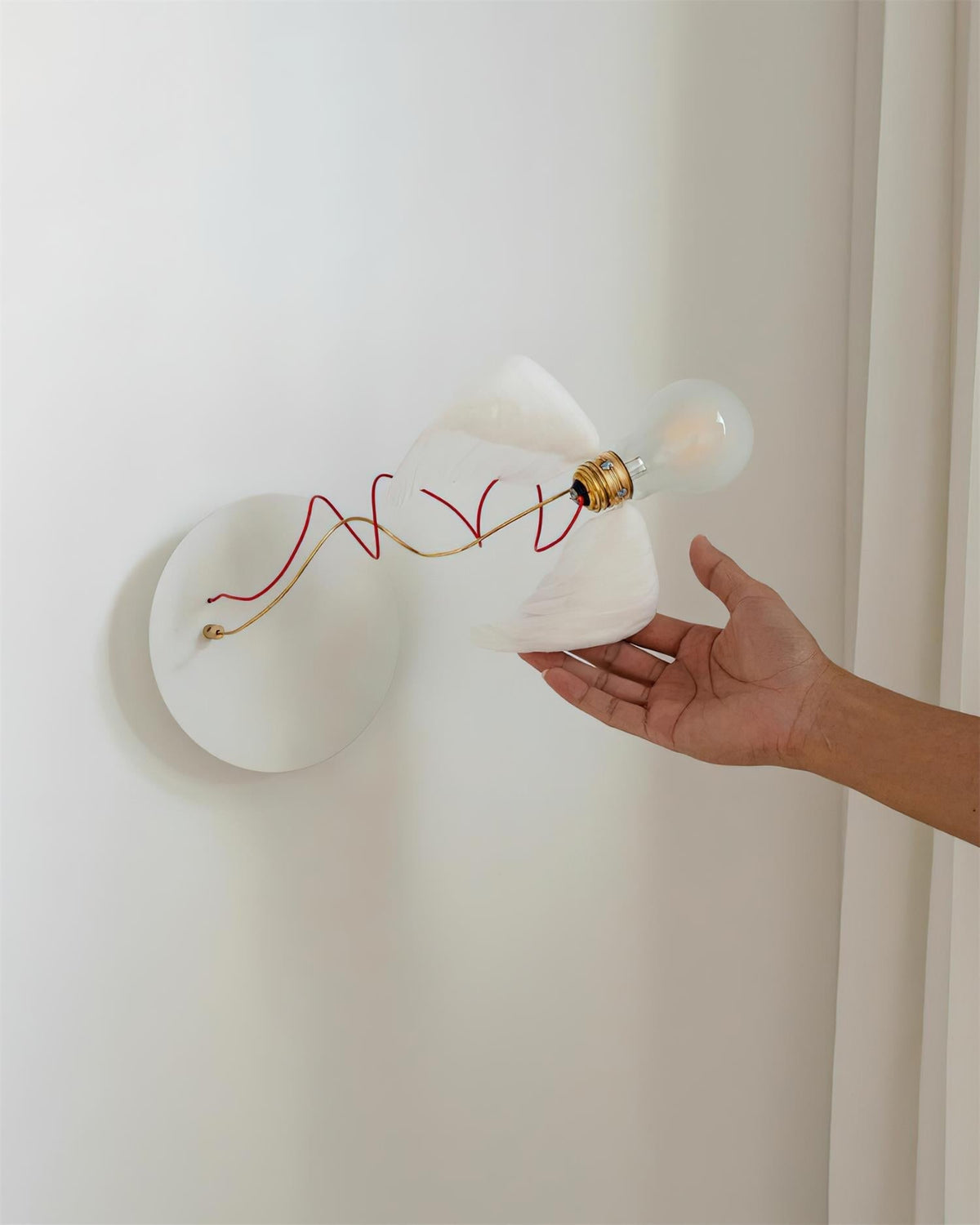 Lioranaria wandlamp