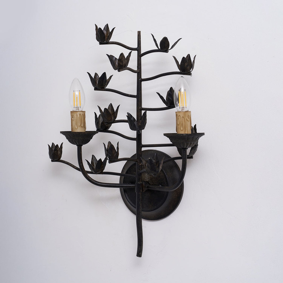 Elaerelia wandlamp