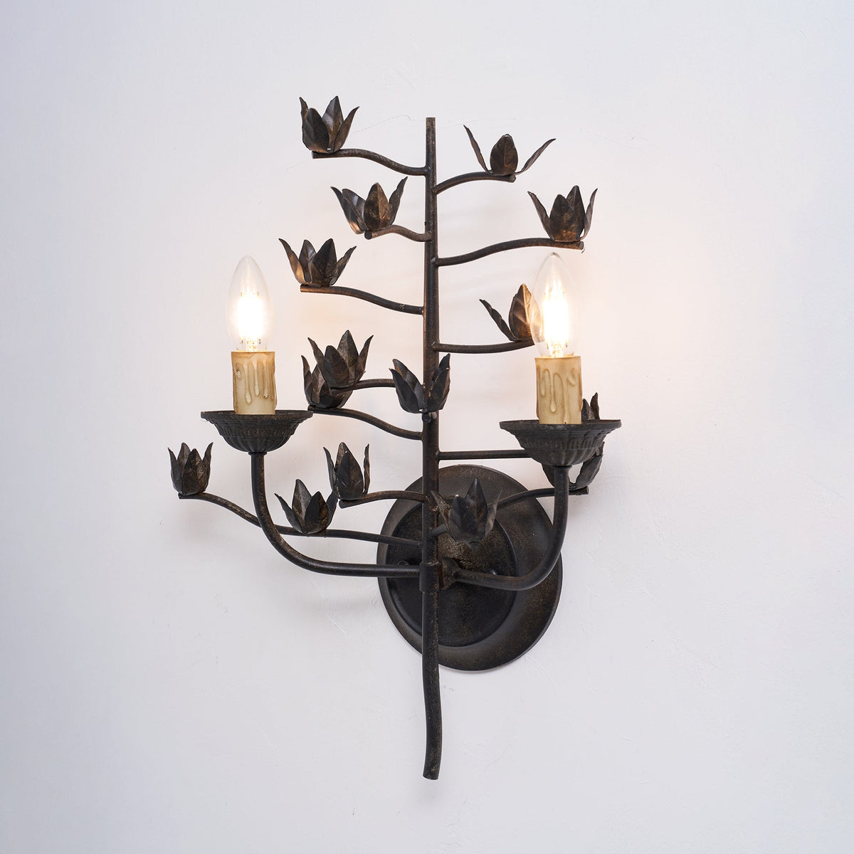Elaerelia wandlamp