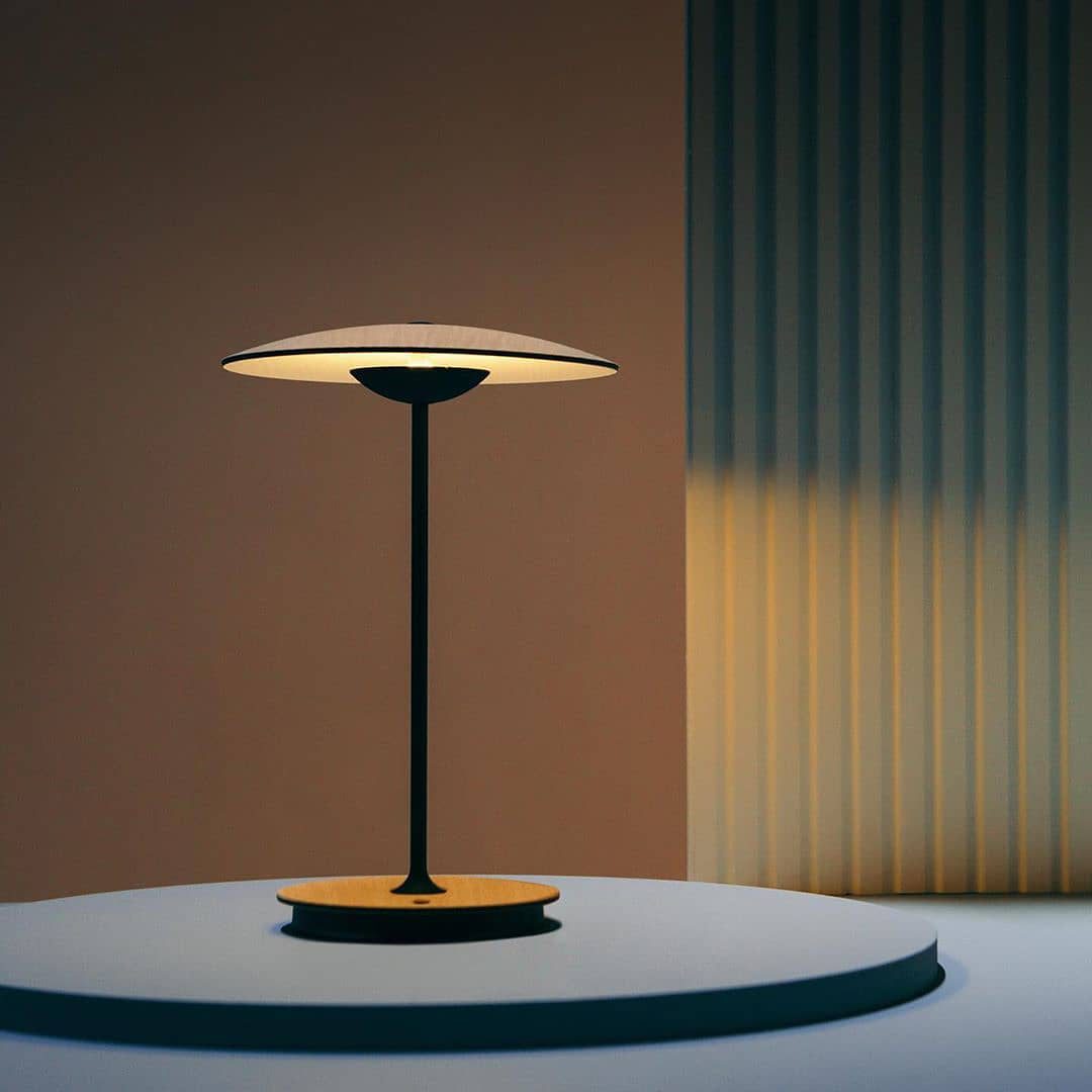 Elaarelia tafellamp slank minimalistisch