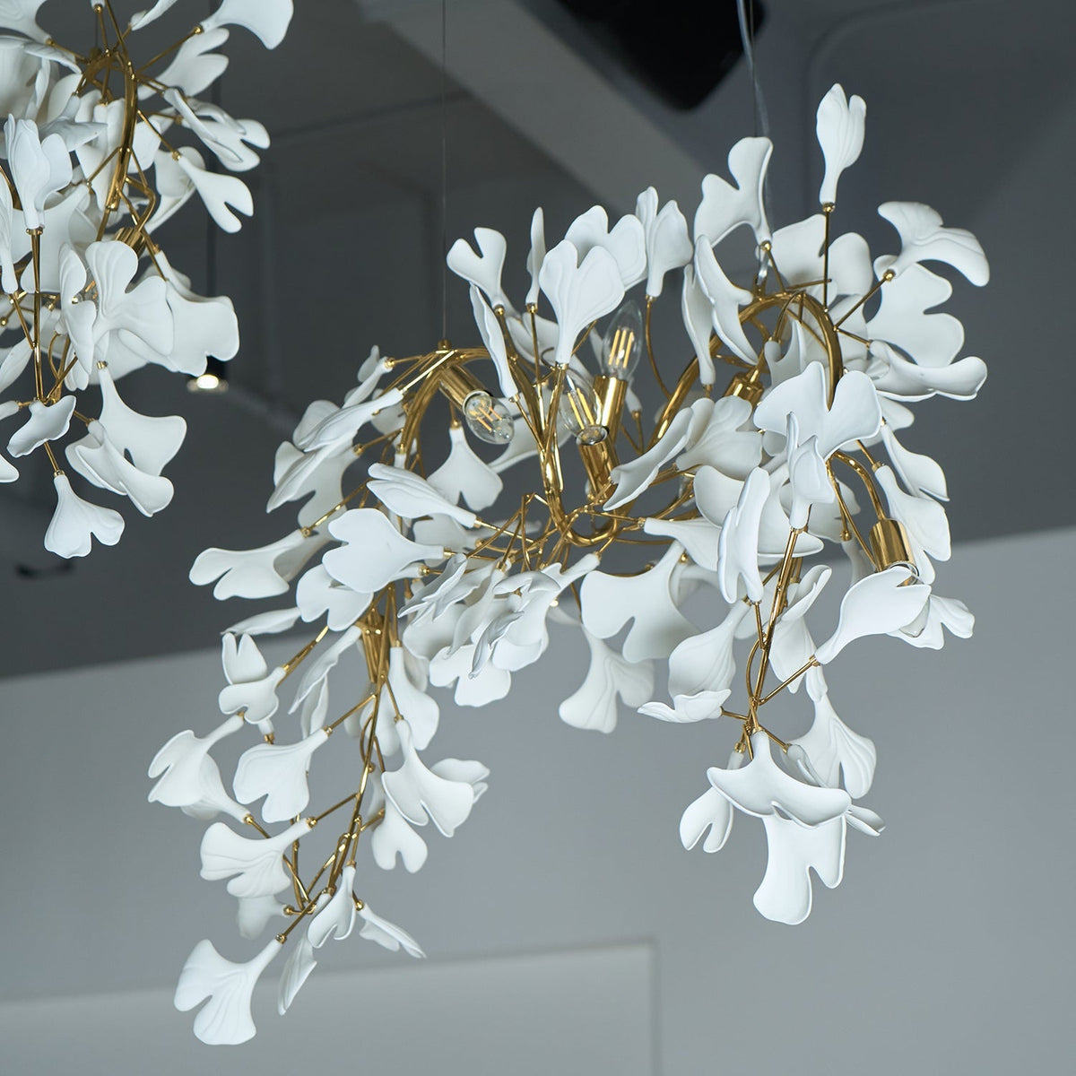 Ginkgo kroonluchter Cluster