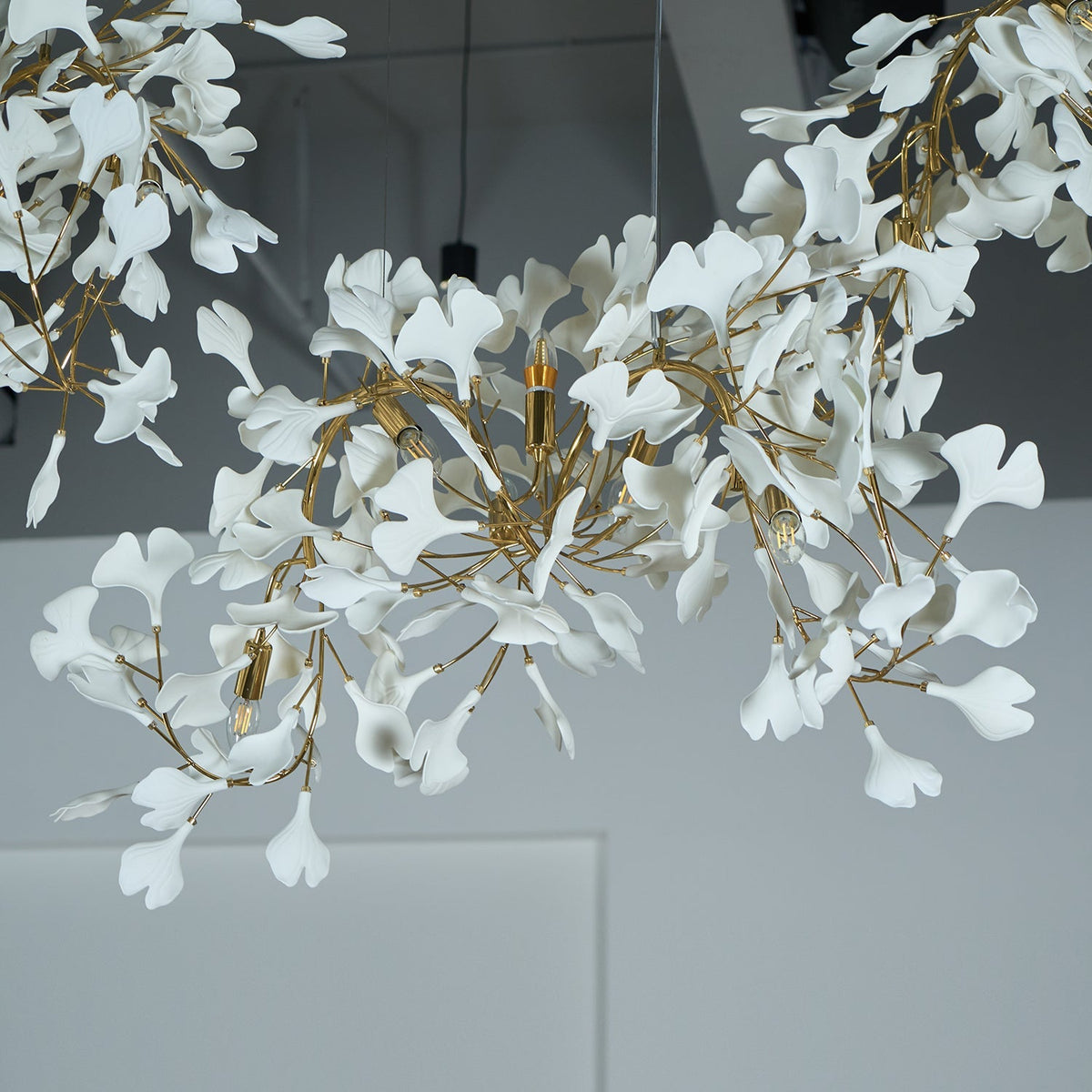 Ginkgo kroonluchter Cluster