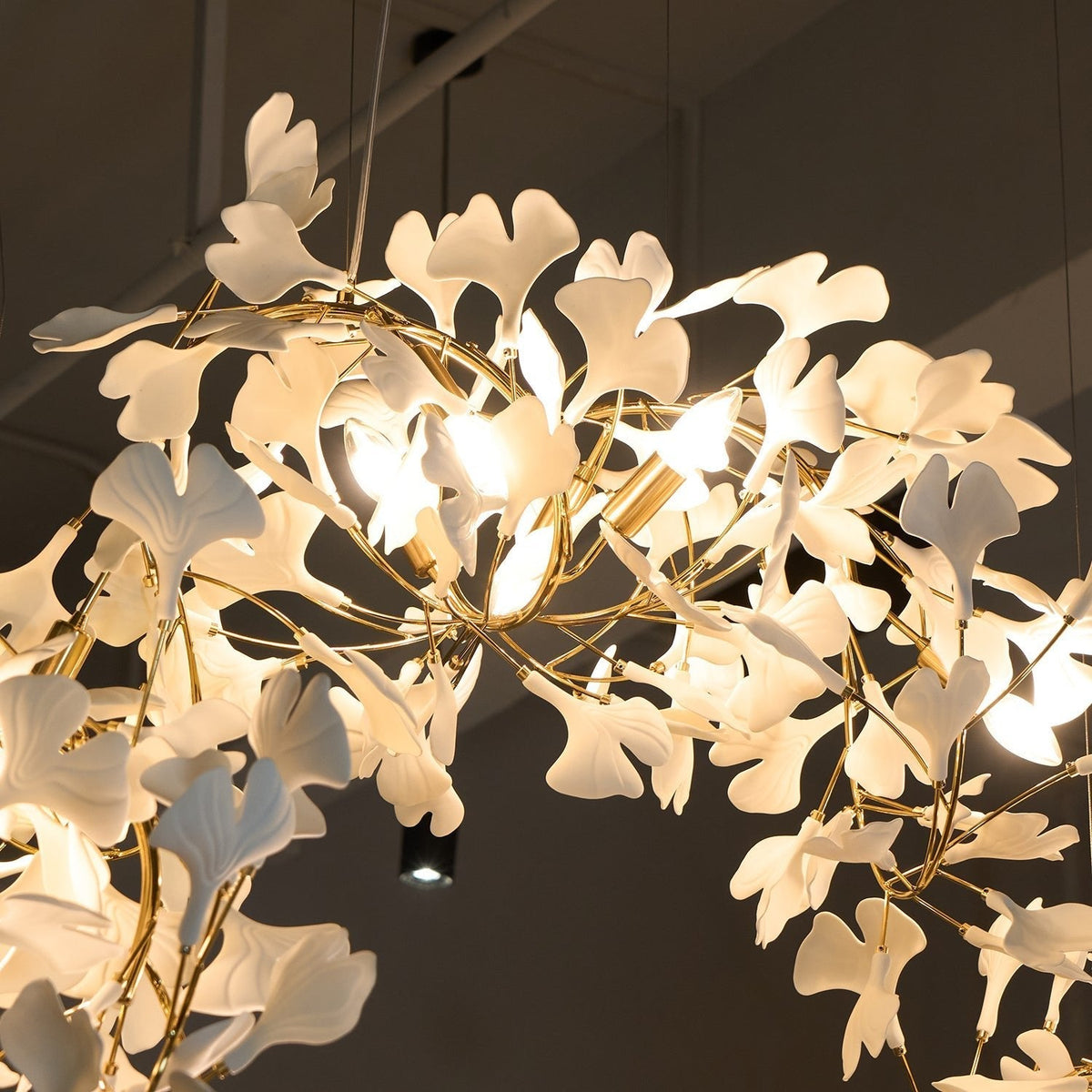 Ginkgo kroonluchter Cluster