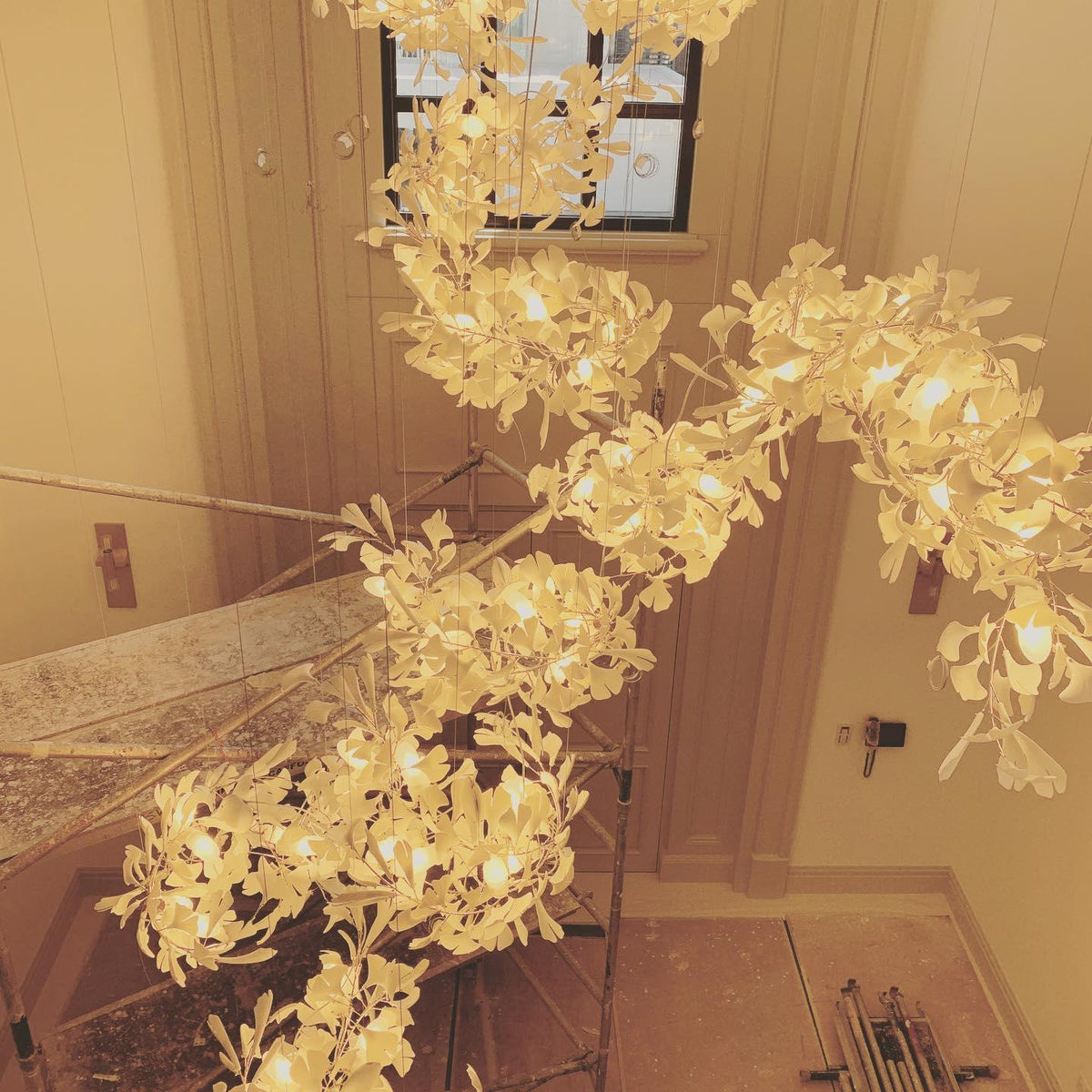 Ginkgo kroonluchter Cluster