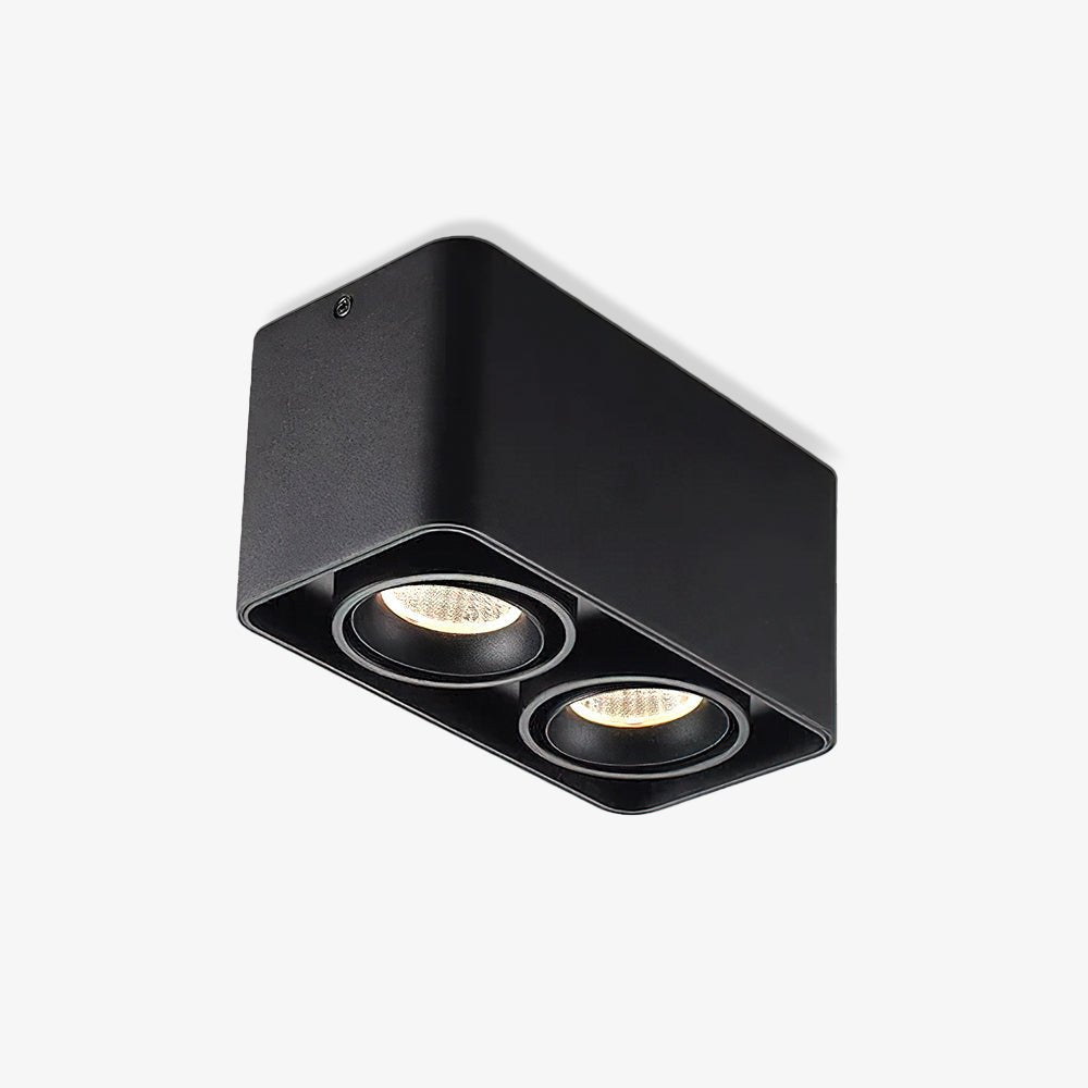 Devely Spotlight Vlakke Plafondmontage Dubbele LED Hoekige Minimalistische