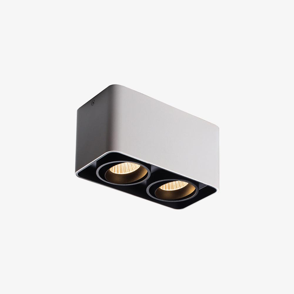 Devely Spotlight Vlakke Plafondmontage Dubbele LED Hoekige Minimalistische