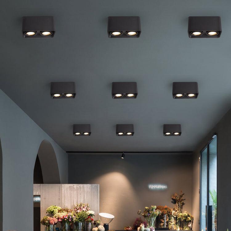 Devely Spotlight Vlakke Plafondmontage Dubbele LED Hoekige Minimalistische