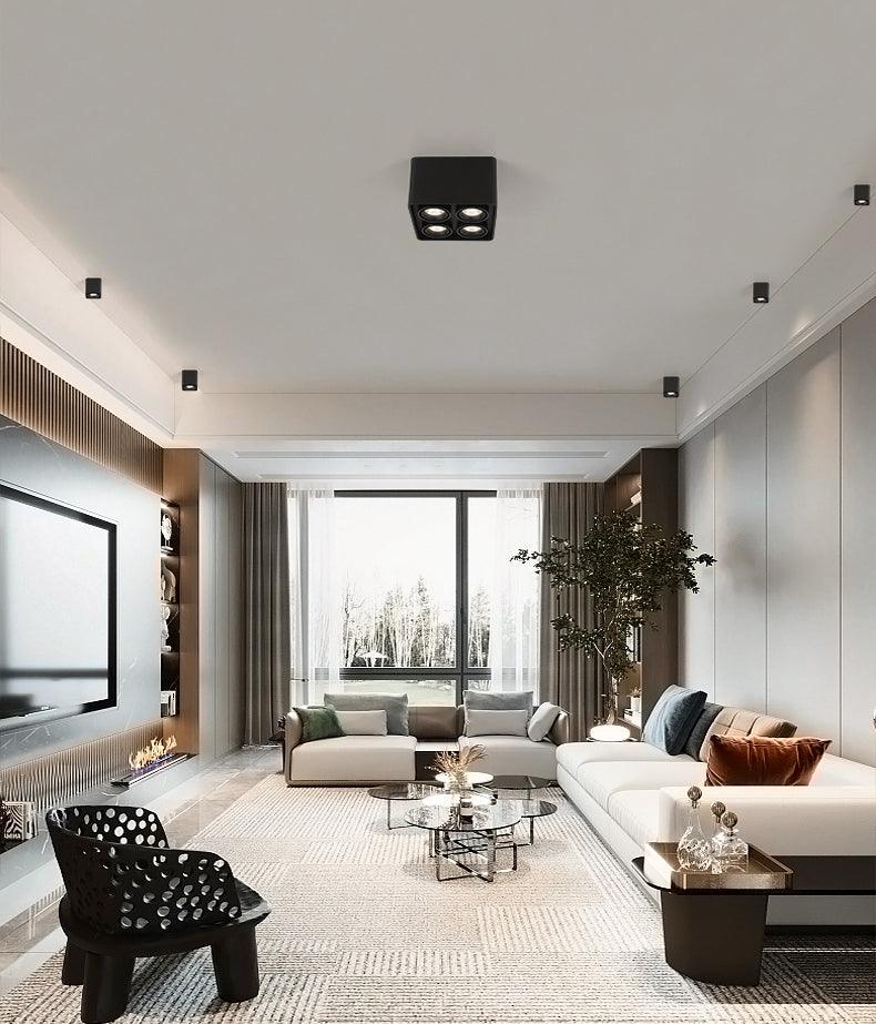 Devely Spotlight Vlakke Plafondmontage Dubbele LED Hoekige Minimalistische