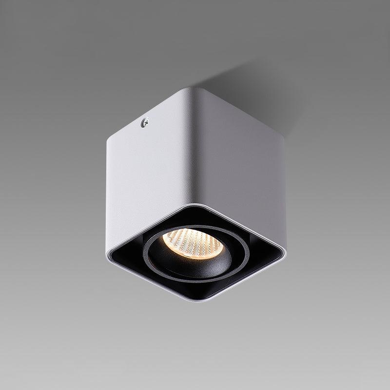 Devely Spotlight Vlakke Plafondmontage Dubbele LED Hoekige Minimalistische