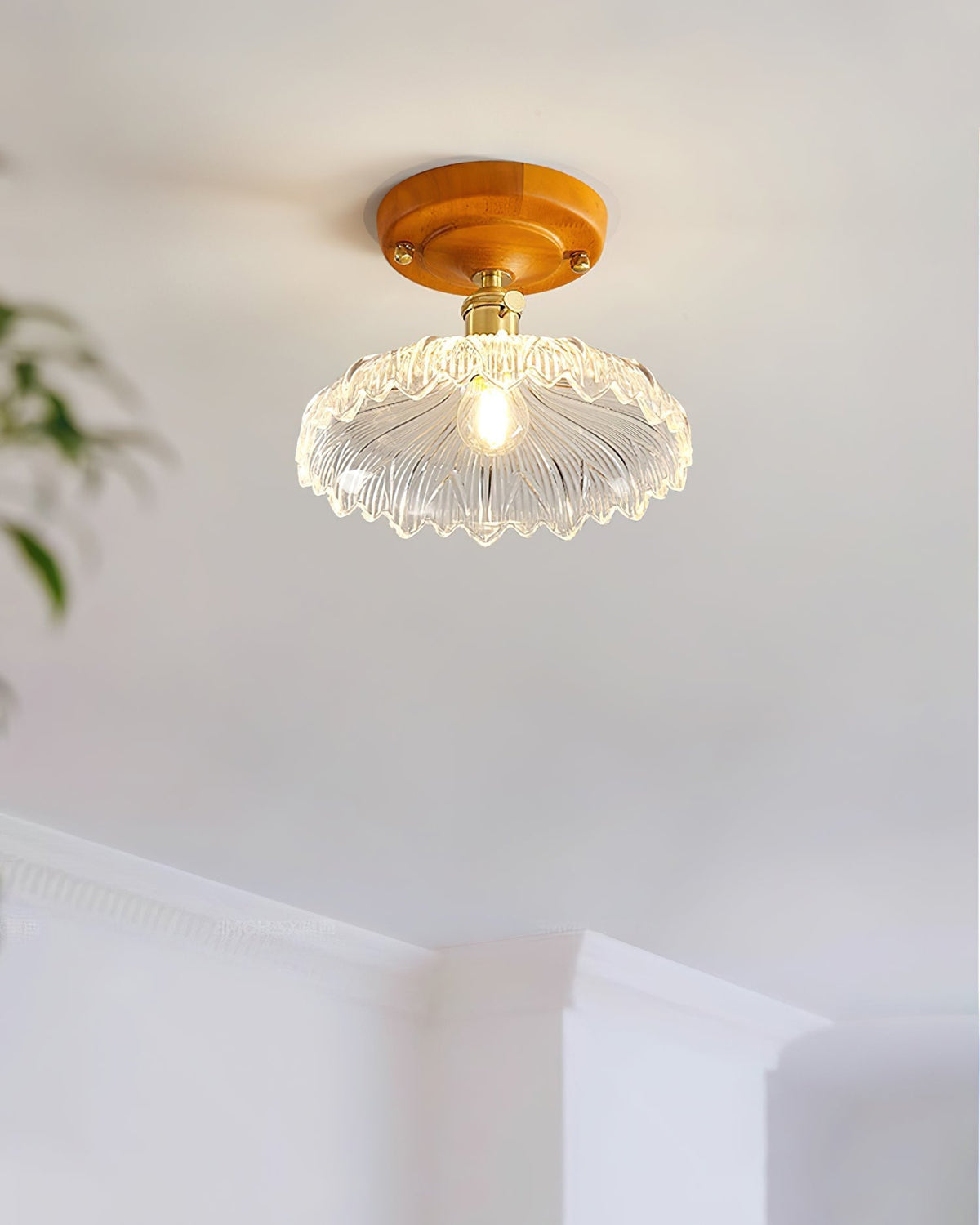 Velareon plafondlamp