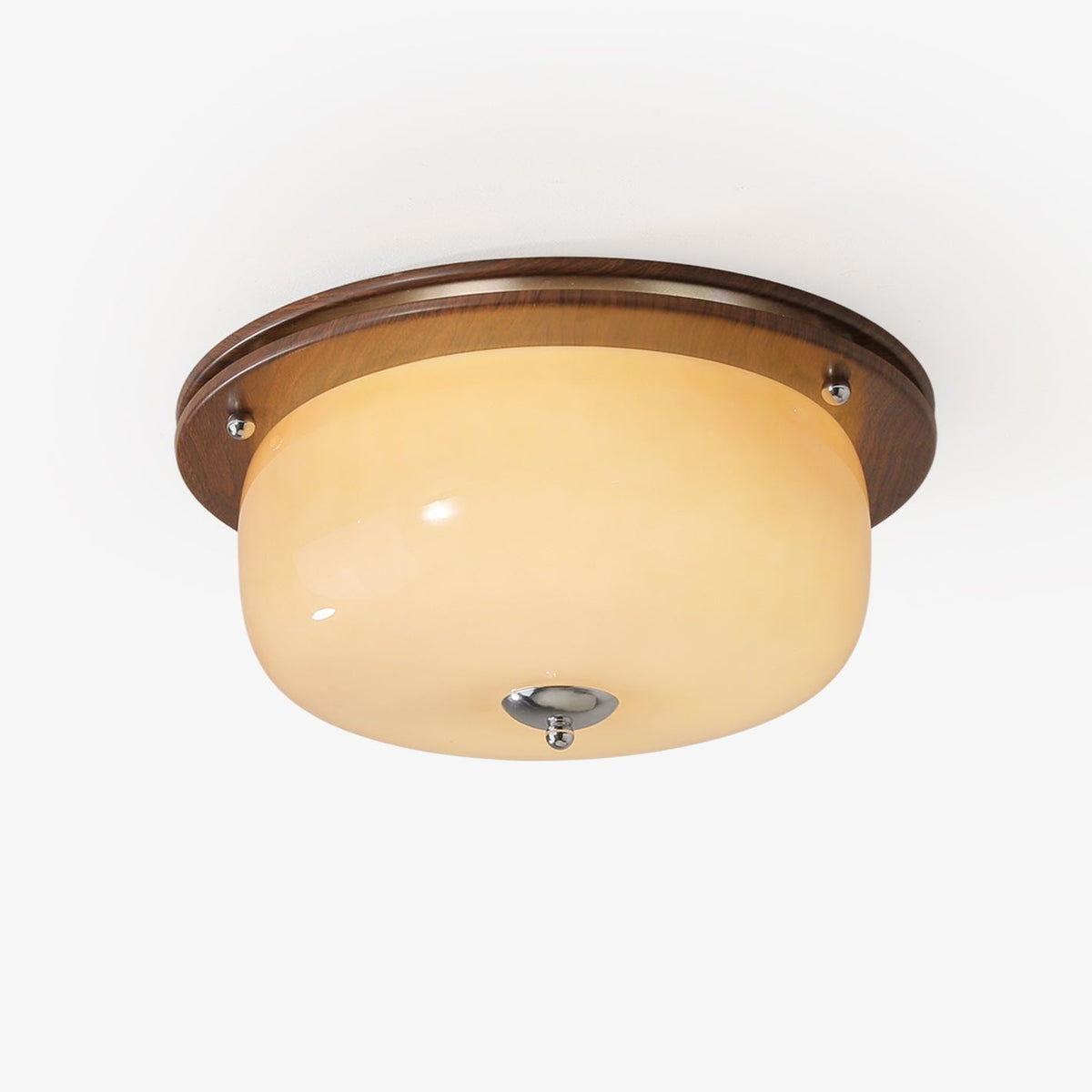 Vetheel Premium Noords Kunstzinnig Koepel Glas Plafondlamp