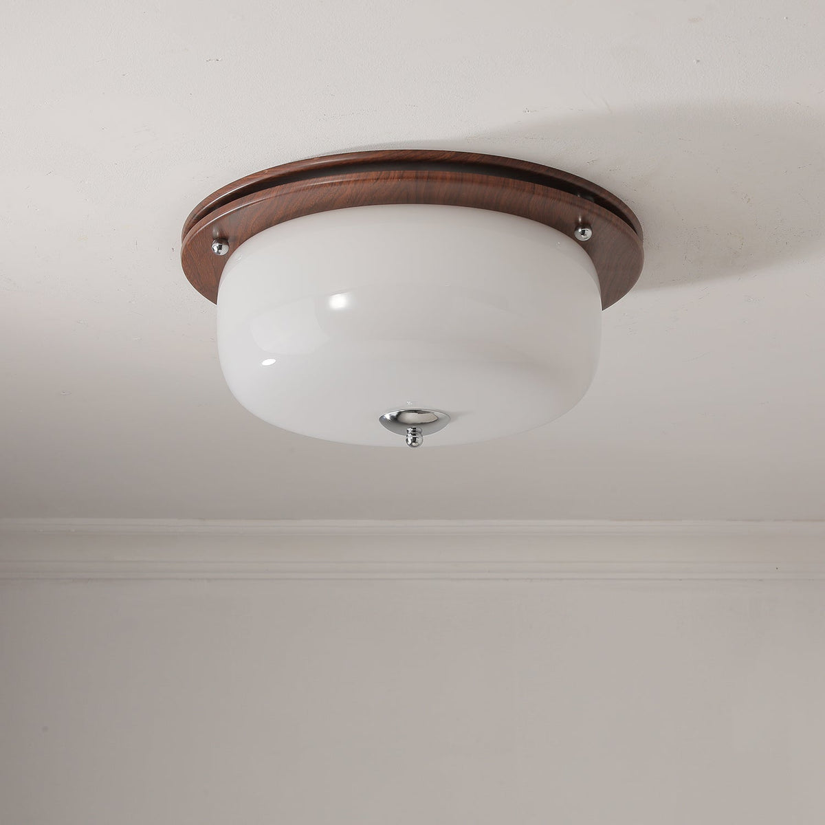 Vetheel Premium Noords Kunstzinnig Koepel Glas Plafondlamp