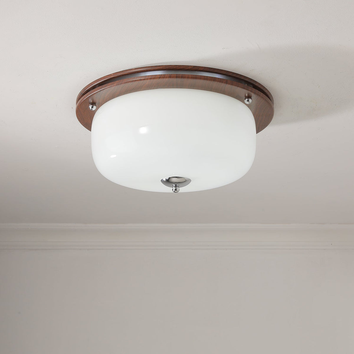 Vetheel Premium Noords Kunstzinnig Koepel Glas Plafondlamp