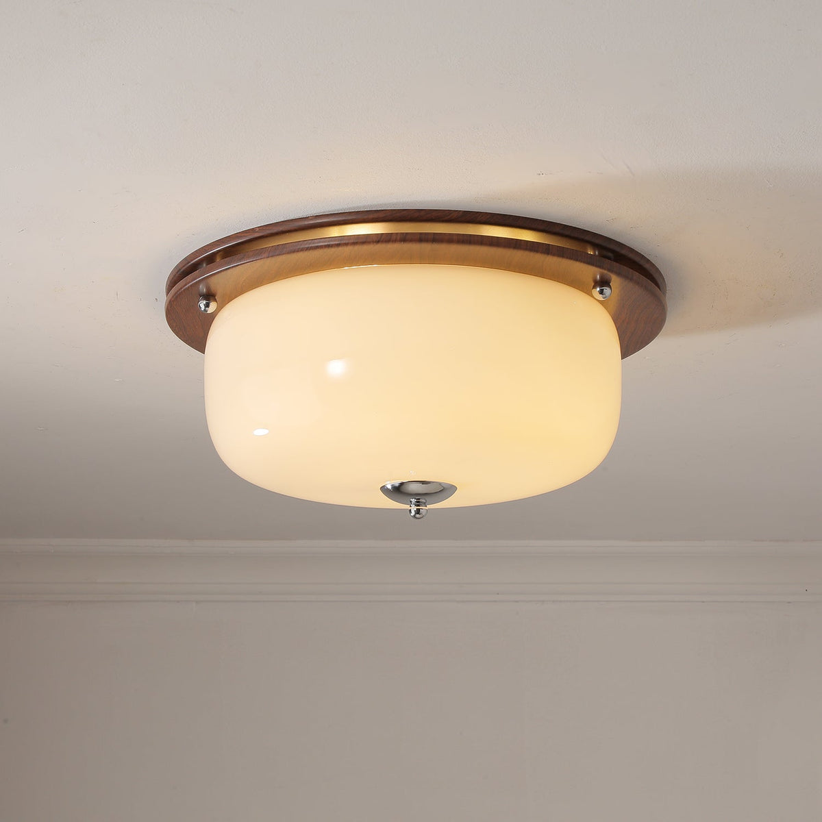 Vetheel Premium Noords Kunstzinnig Koepel Glas Plafondlamp