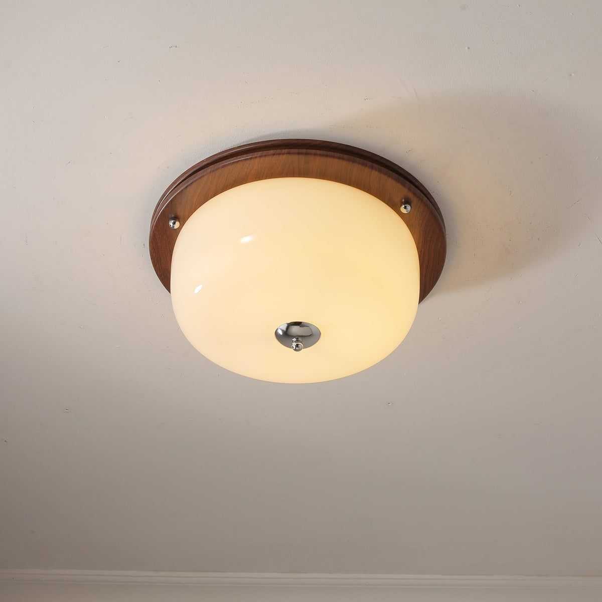 Vetheel Premium Noords Kunstzinnig Koepel Glas Plafondlamp