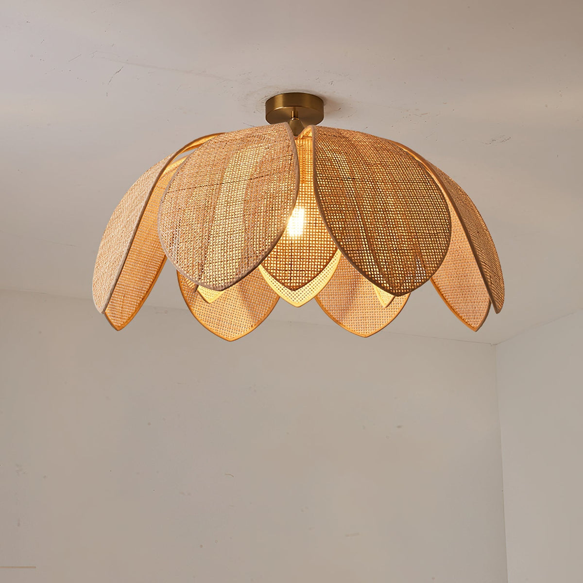 Hanove plafondlamp