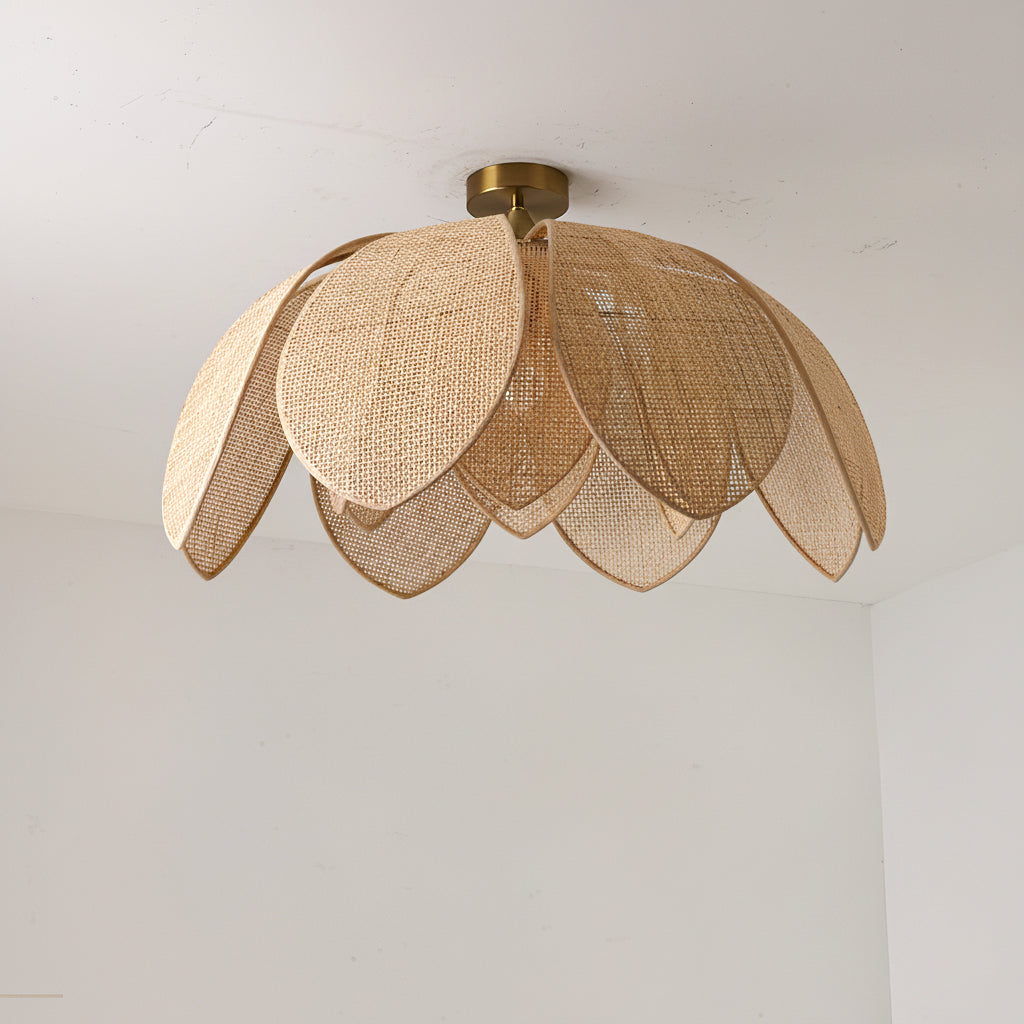 Hanove plafondlamp