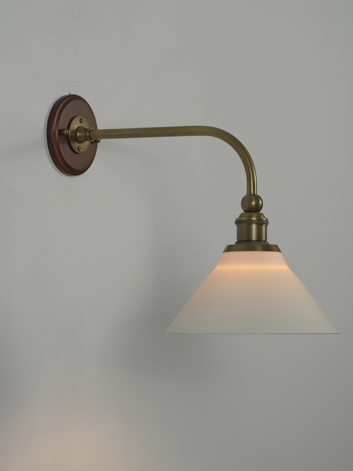 Liorivenne wandlamp