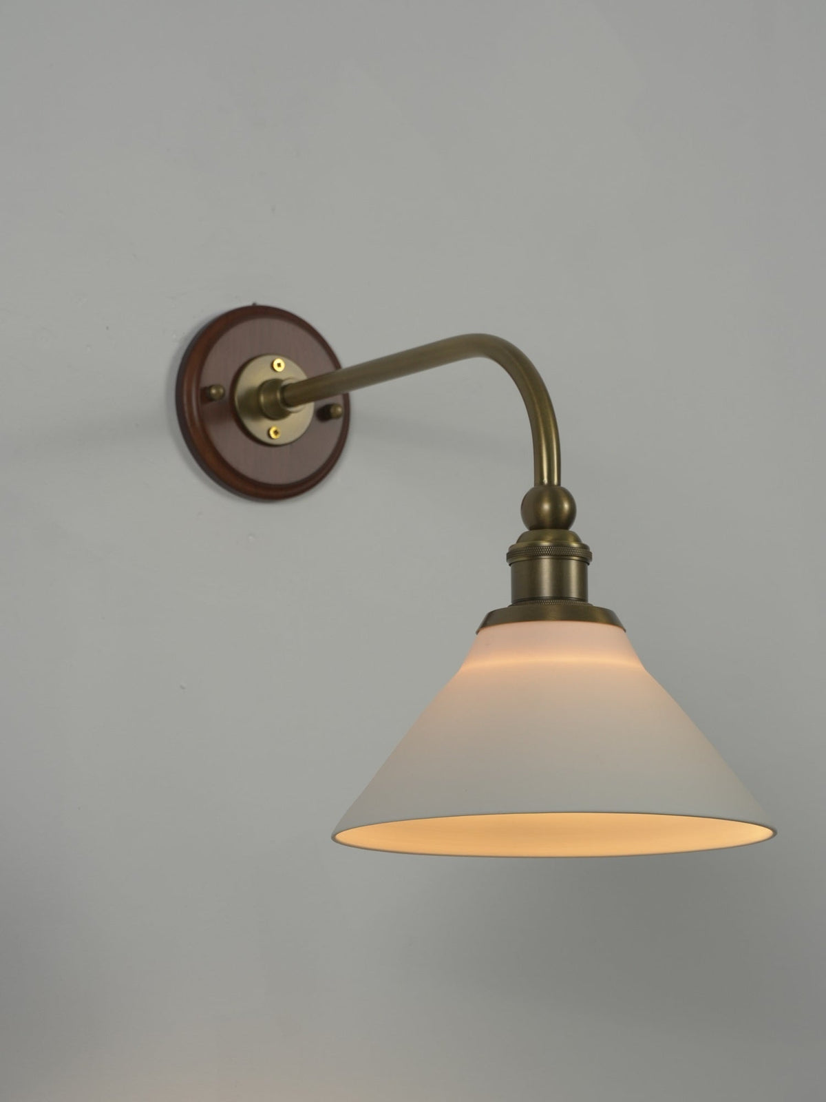 Liorivenne wandlamp