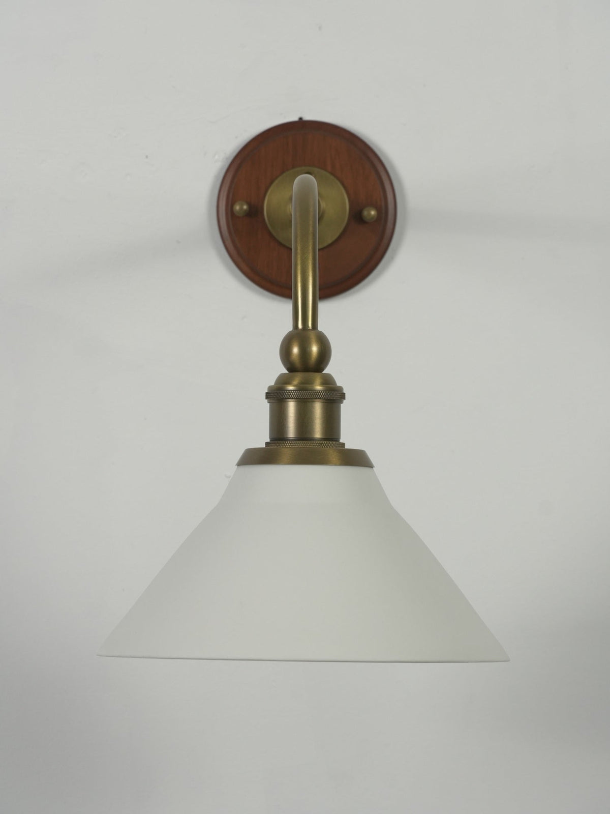 Liorivenne wandlamp