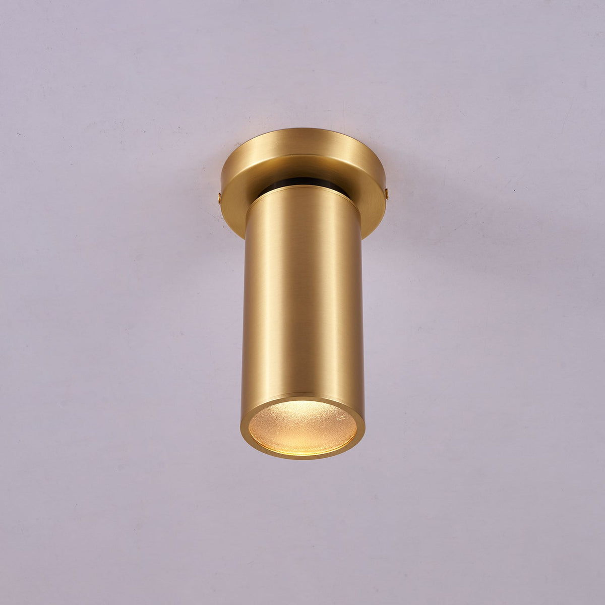 Syloran moderne minimalistische plafondlamp van messing
