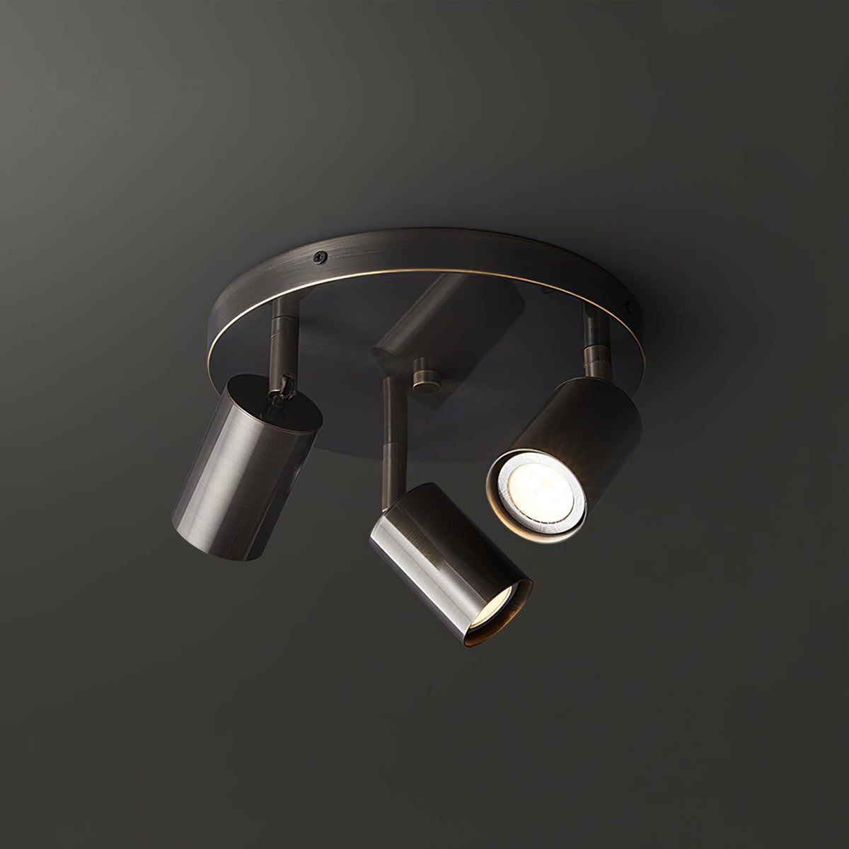 Quin plafondlamp cilindrisch verstelbaar modern
