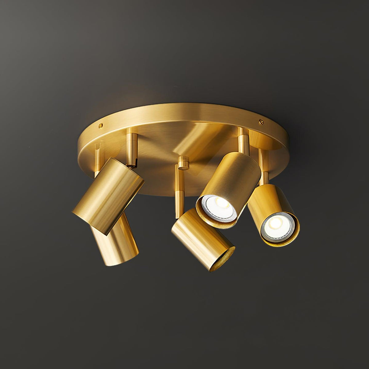 Quin plafondlamp cilindrisch verstelbaar modern