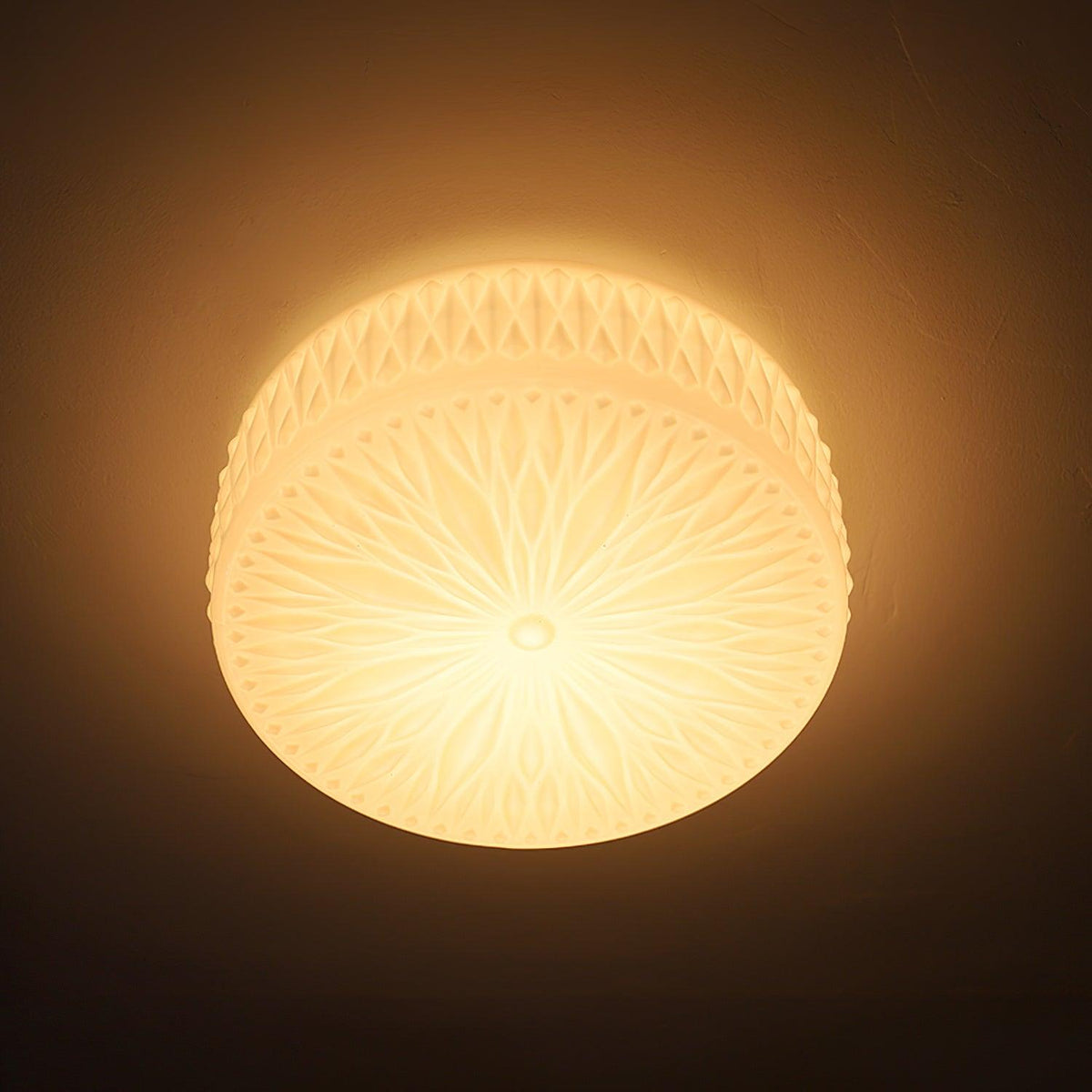 Lioriira plafondlamp glazen kap en acryl moderne maantort