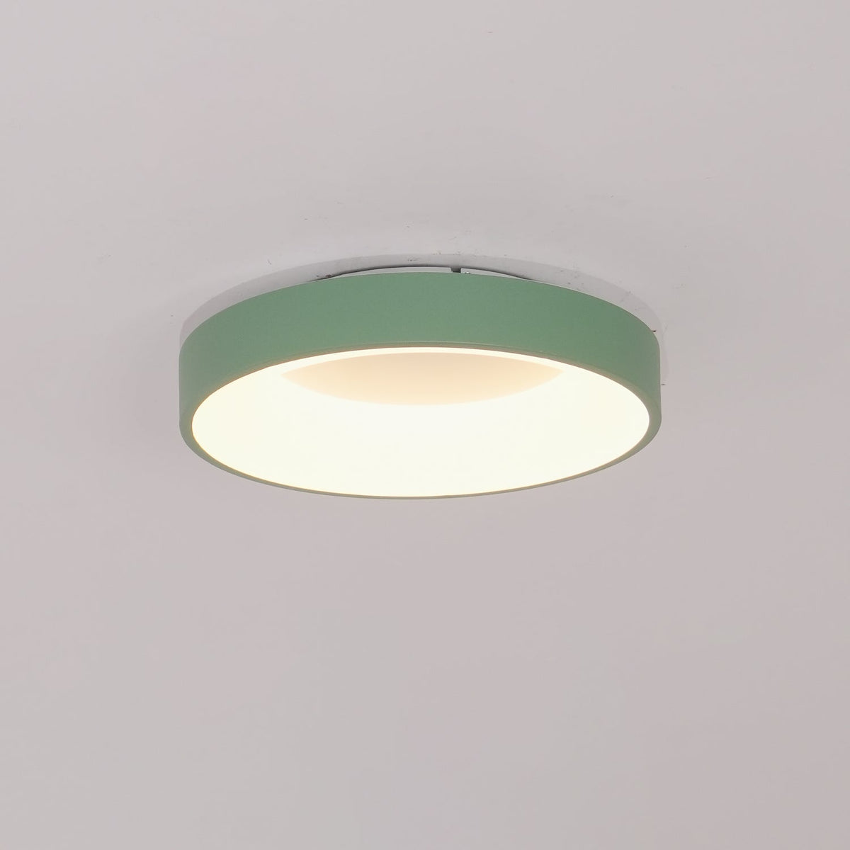 Jareth plafondlamp ijzer hedendaags groene lampenkap
