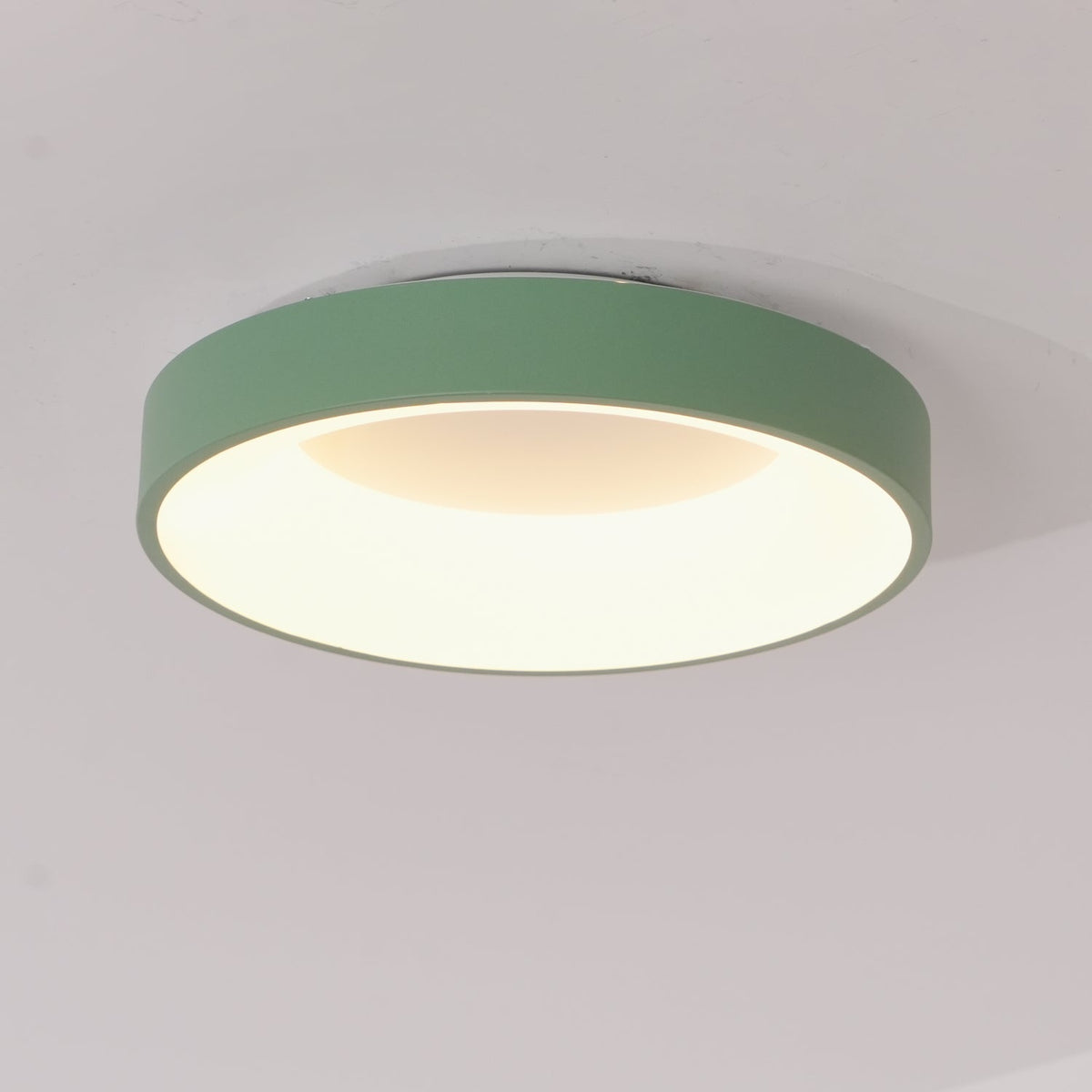 Jareth plafondlamp ijzer hedendaags groene lampenkap