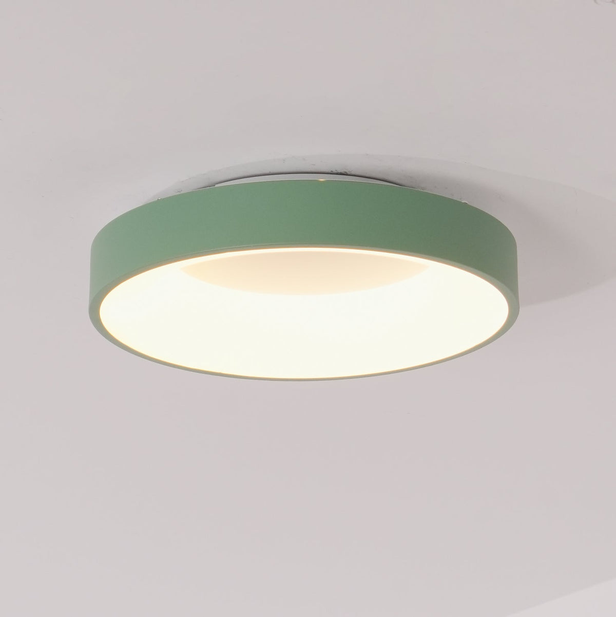 Jareth plafondlamp ijzer hedendaags groene lampenkap