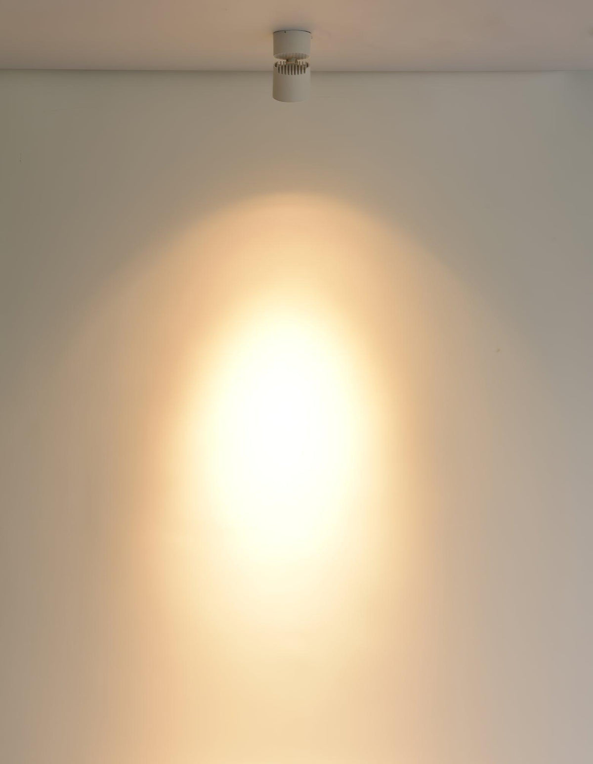 Alvynora Moderne plafondlamp Minimalistisch