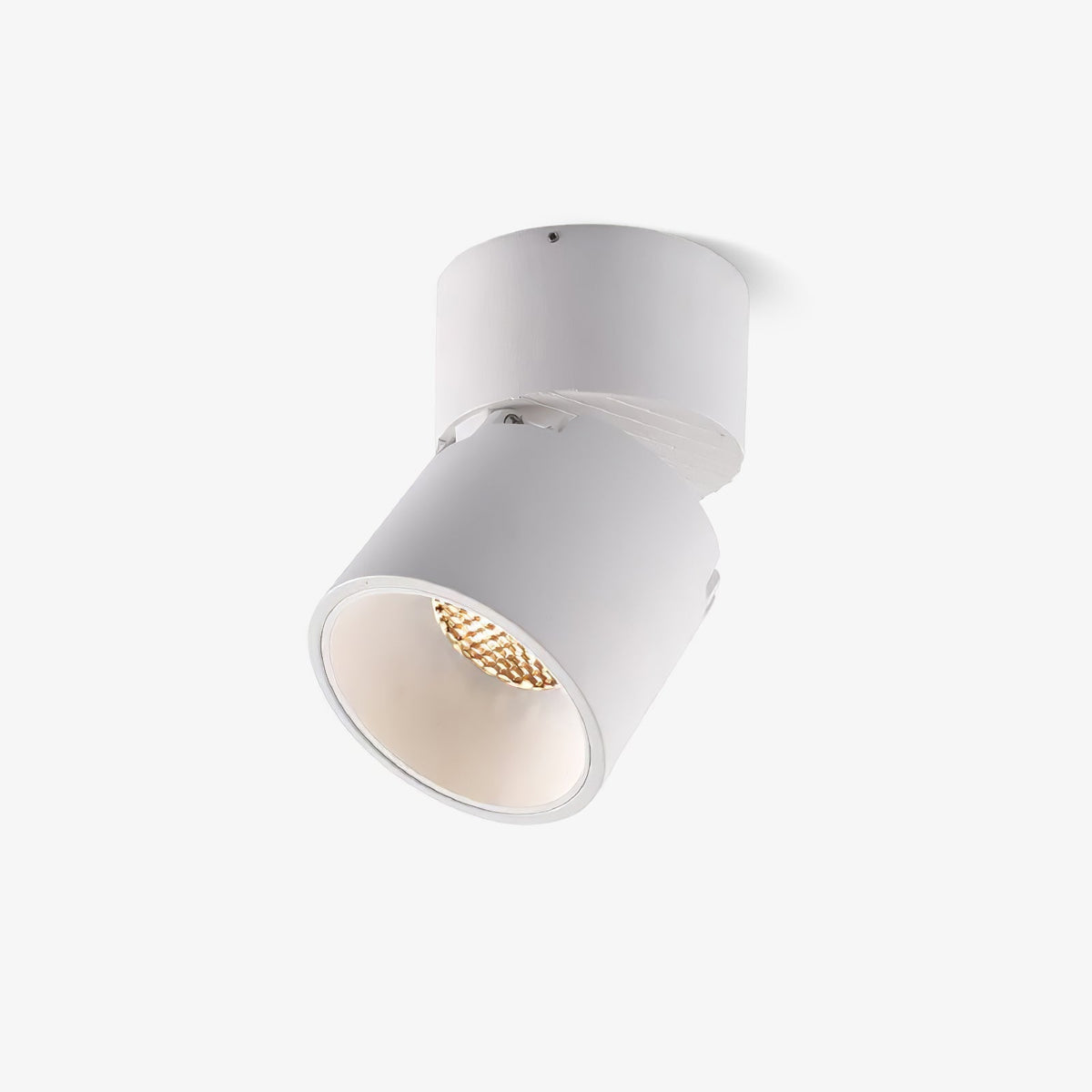Alvynora Moderne plafondlamp Minimalistisch
