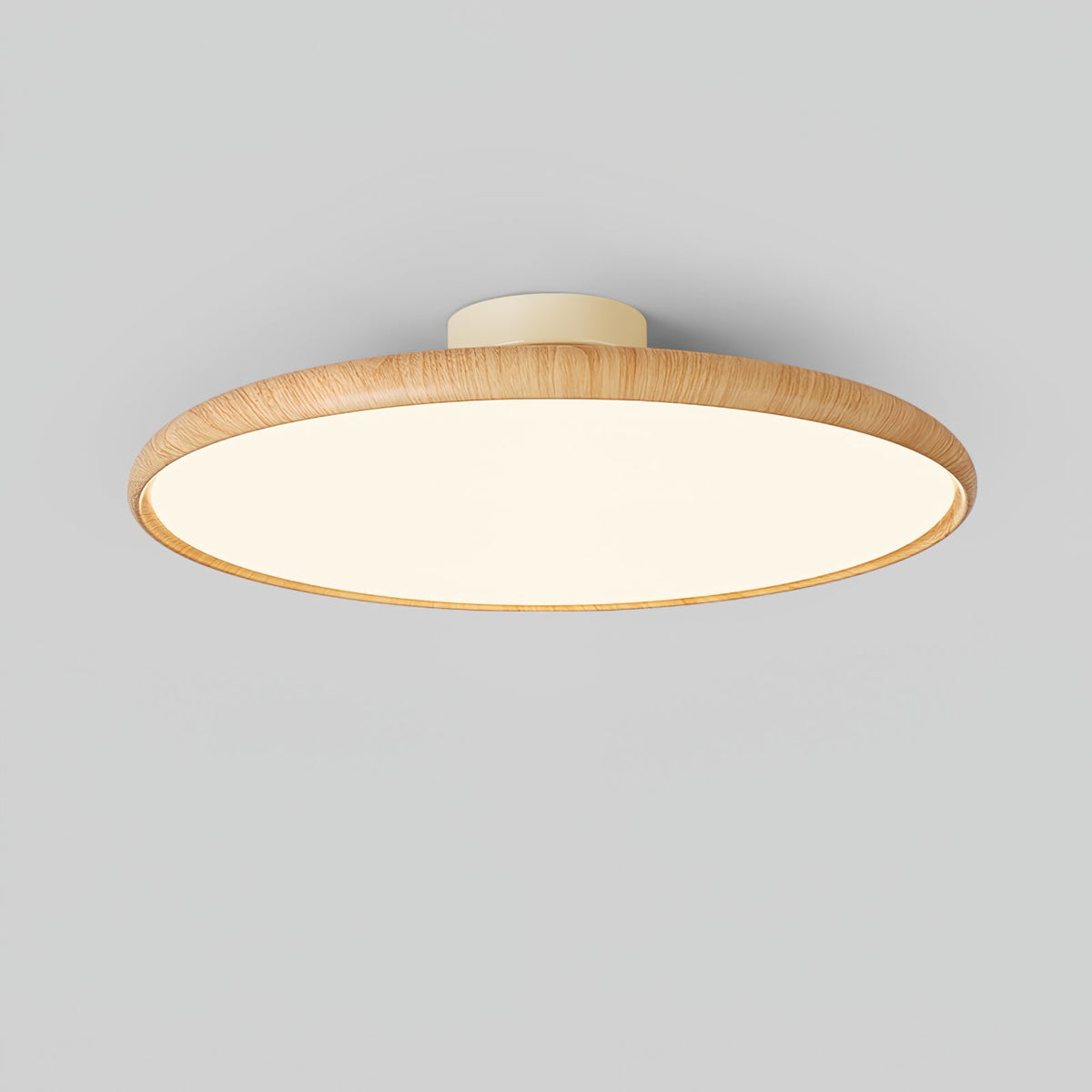 Ralemu moderne minimalistische plafondlamp met verstelbare hoogte