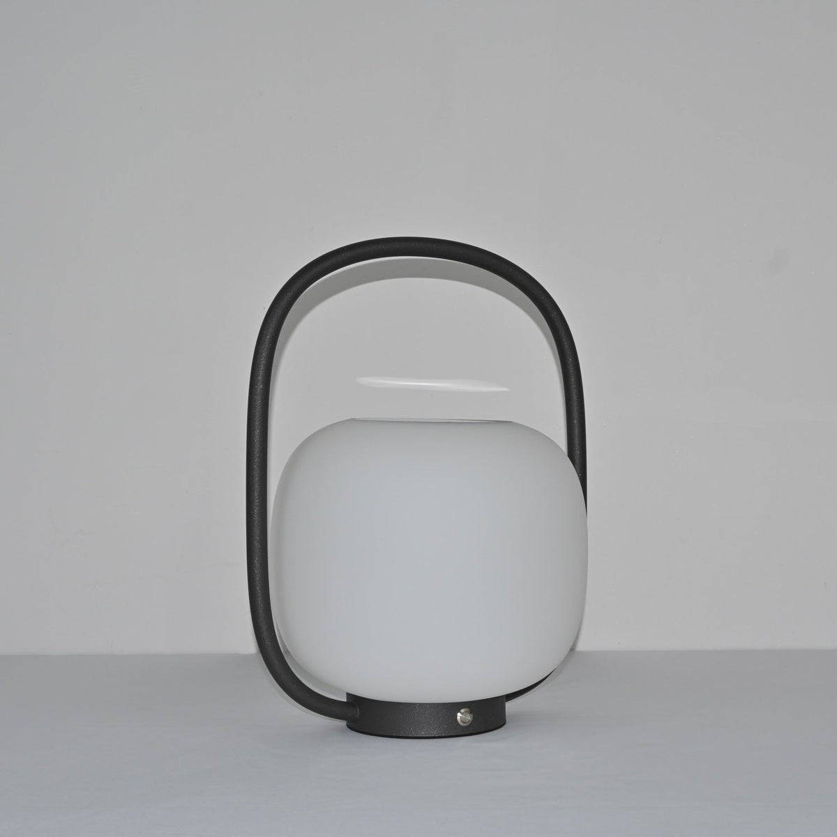 Rivoel transparant PE buitenwandlamp