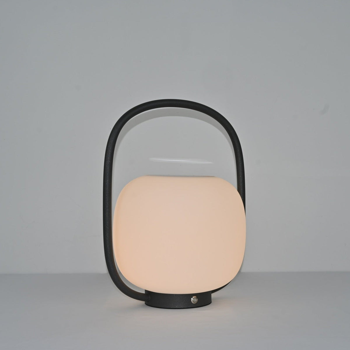 Rivoel transparant PE buitenwandlamp