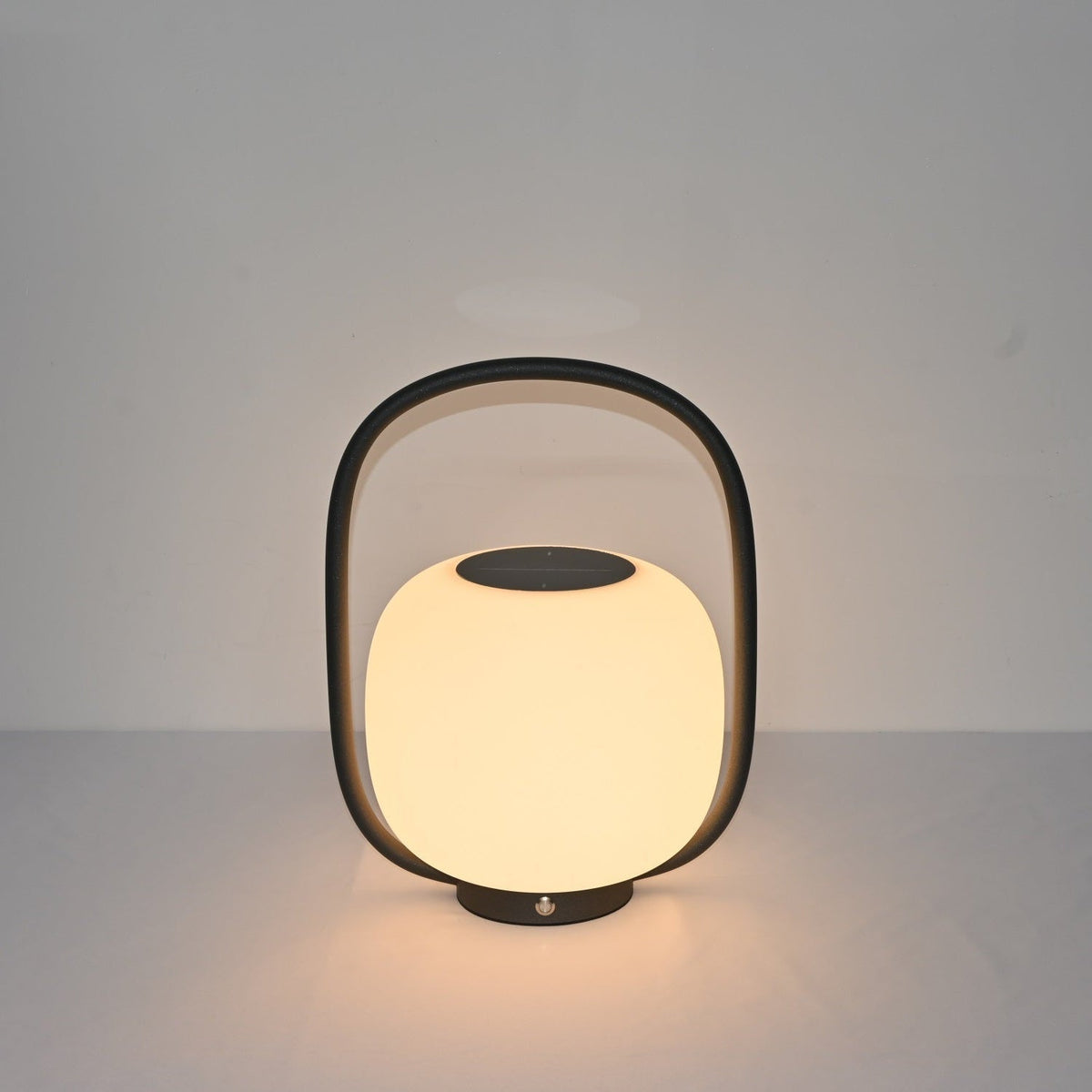 Rivoel transparant PE buitenwandlamp