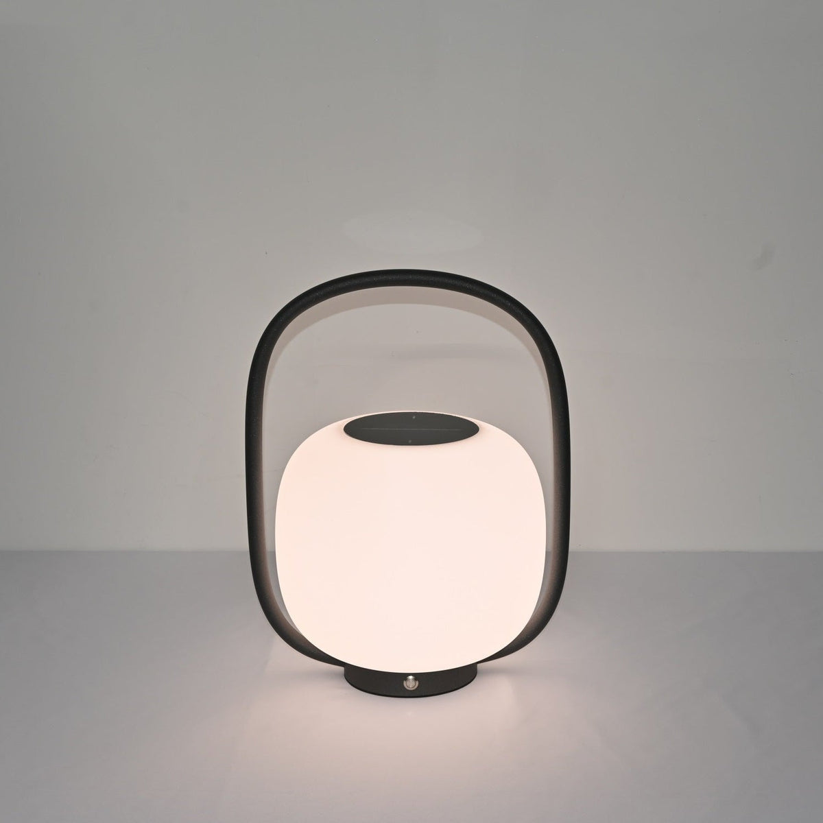 Rivoel transparant PE buitenwandlamp