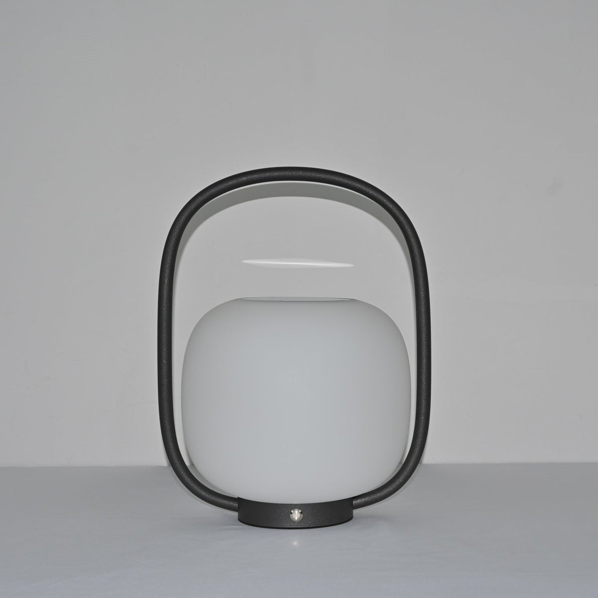 Rivoel transparant PE buitenwandlamp
