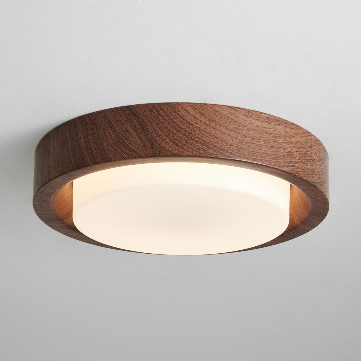 Terienine Lunor Ring plafondlamp