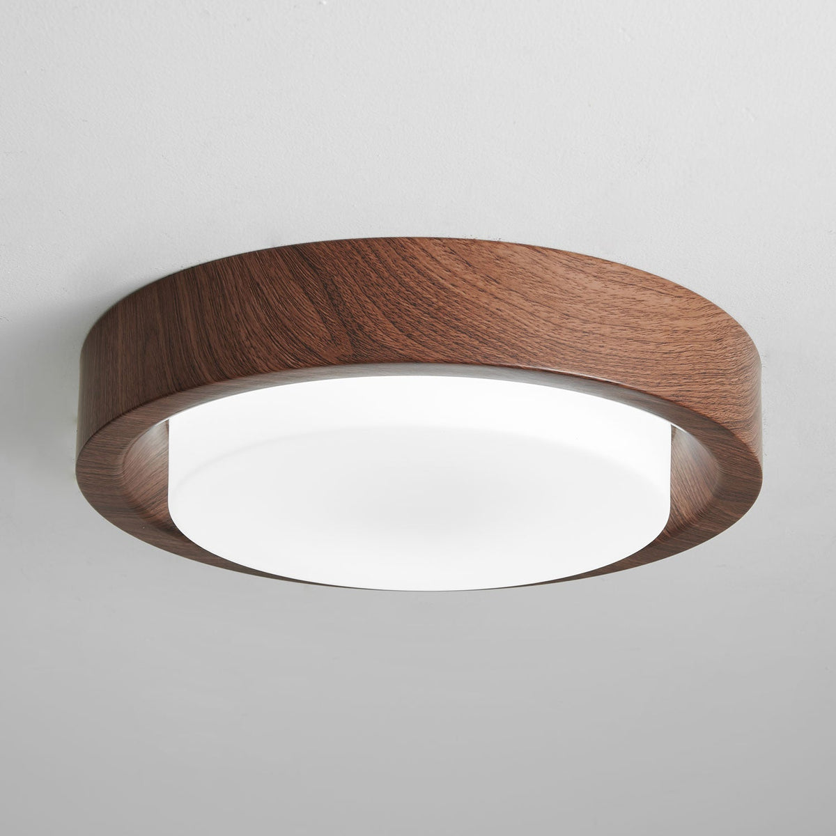 Terienine Lunor Ring plafondlamp