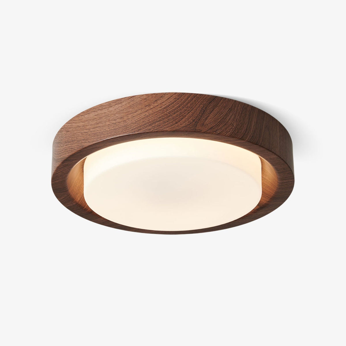 Terienine Lunor Ring plafondlamp