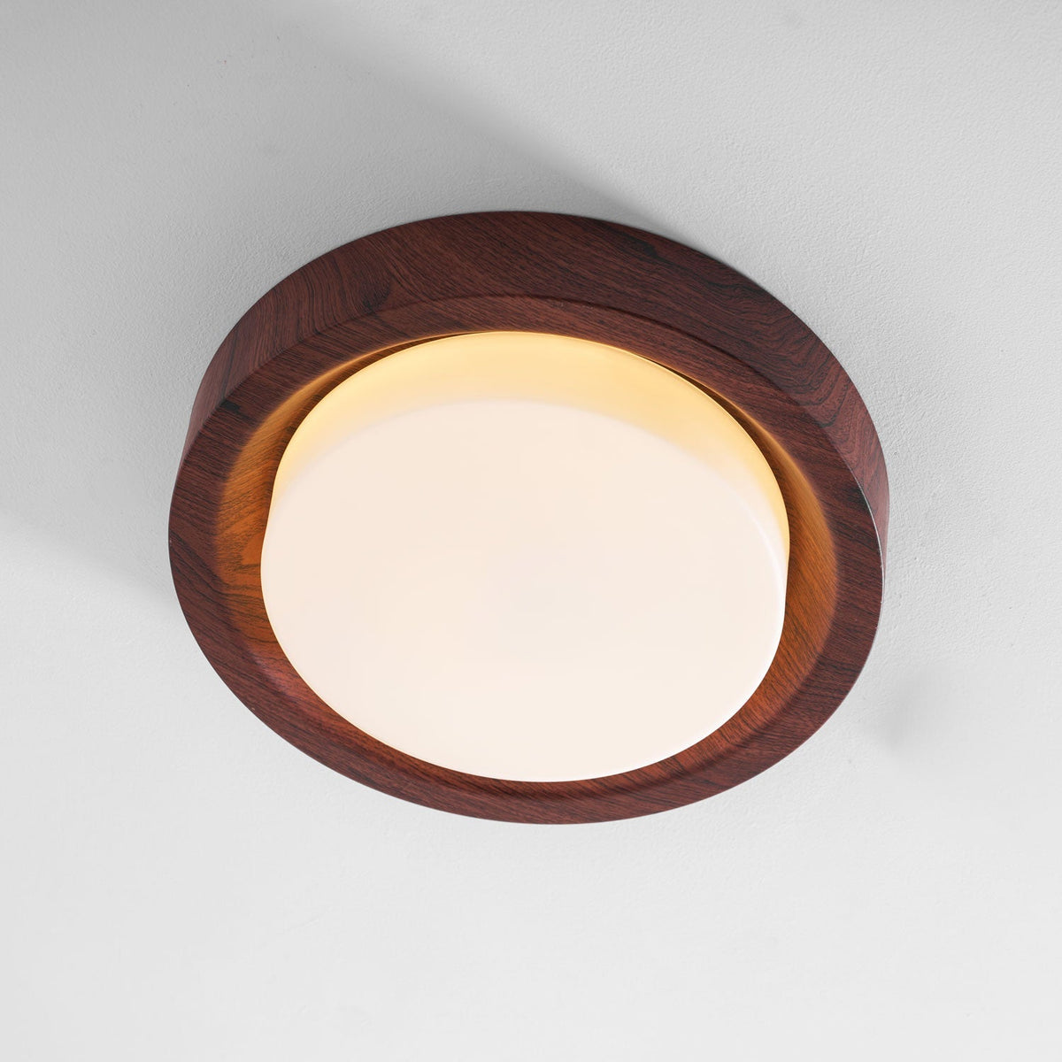 Terienine Lunor Ring plafondlamp