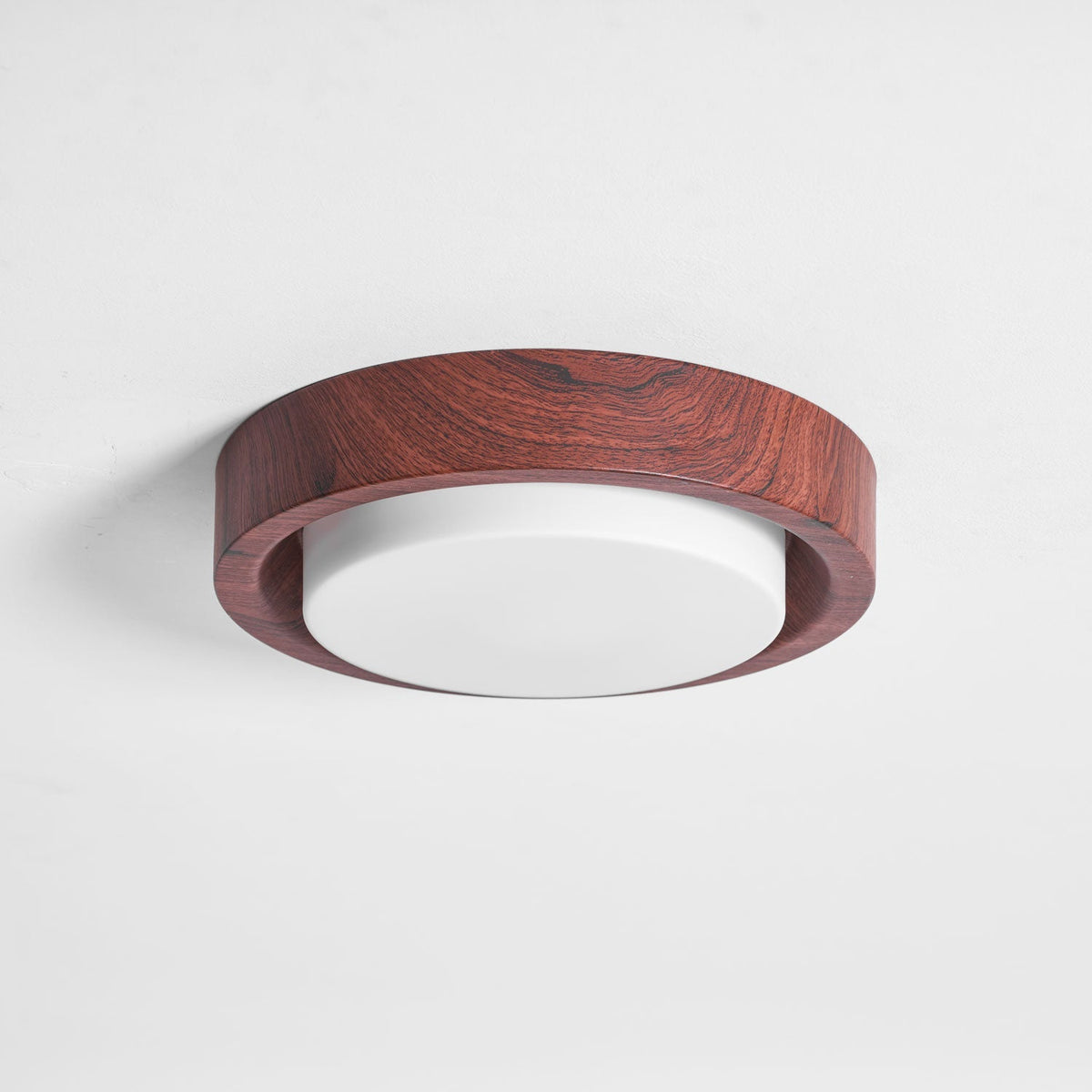 Terienine Lunor Ring plafondlamp