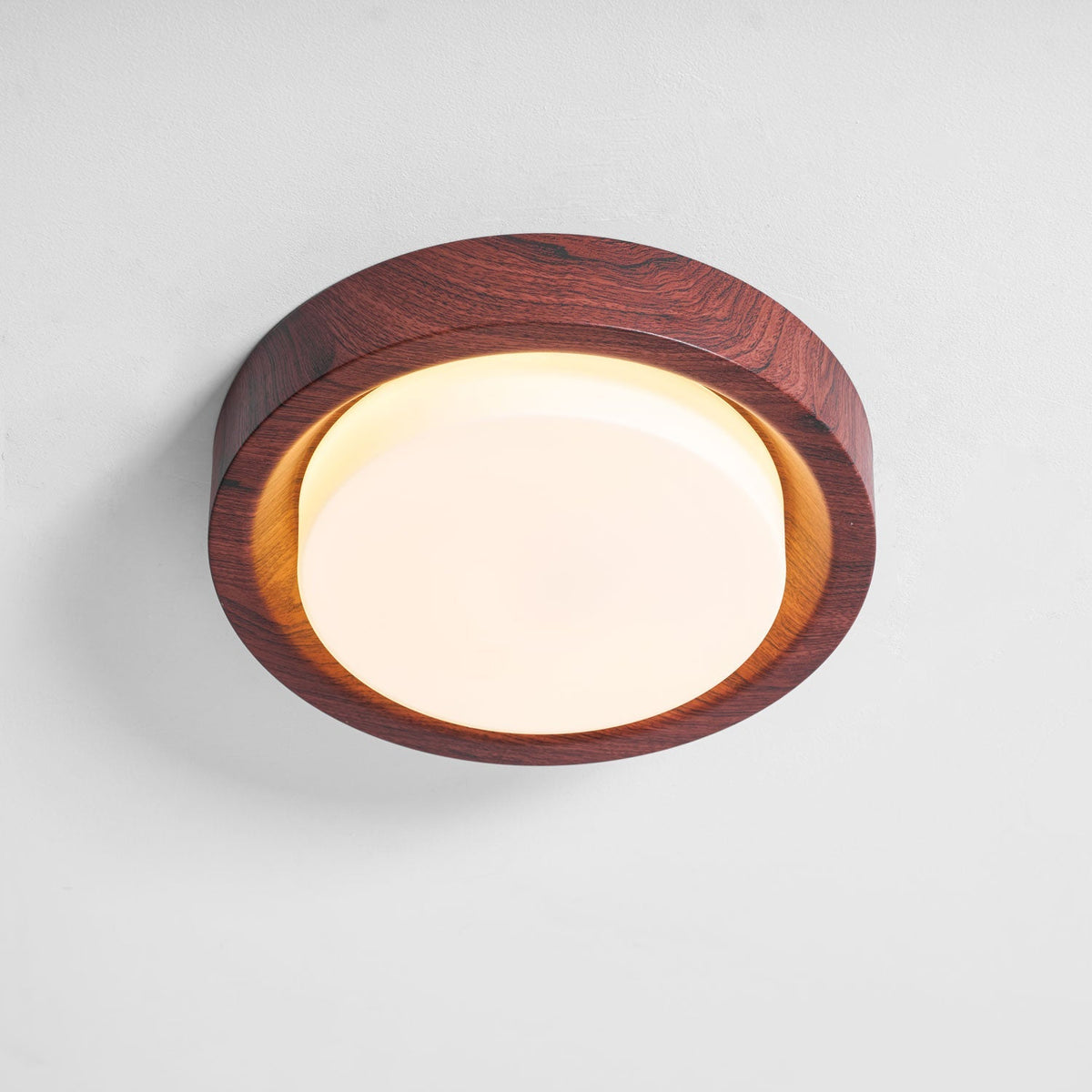 Terienine Lunor Ring plafondlamp