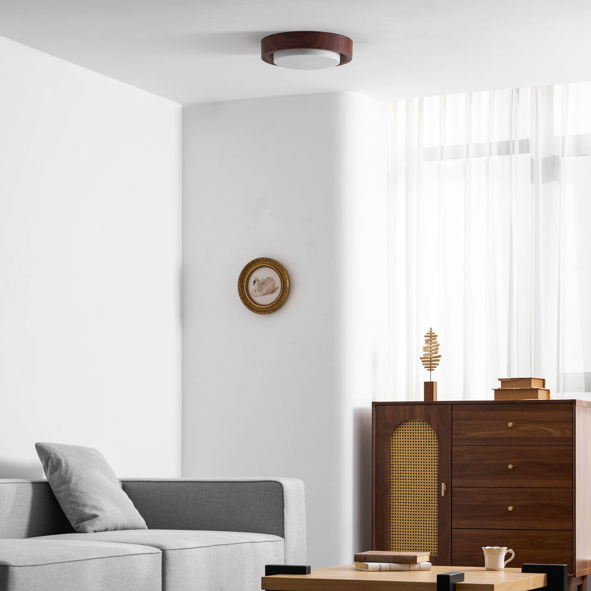 Terienine Lunor Ring plafondlamp