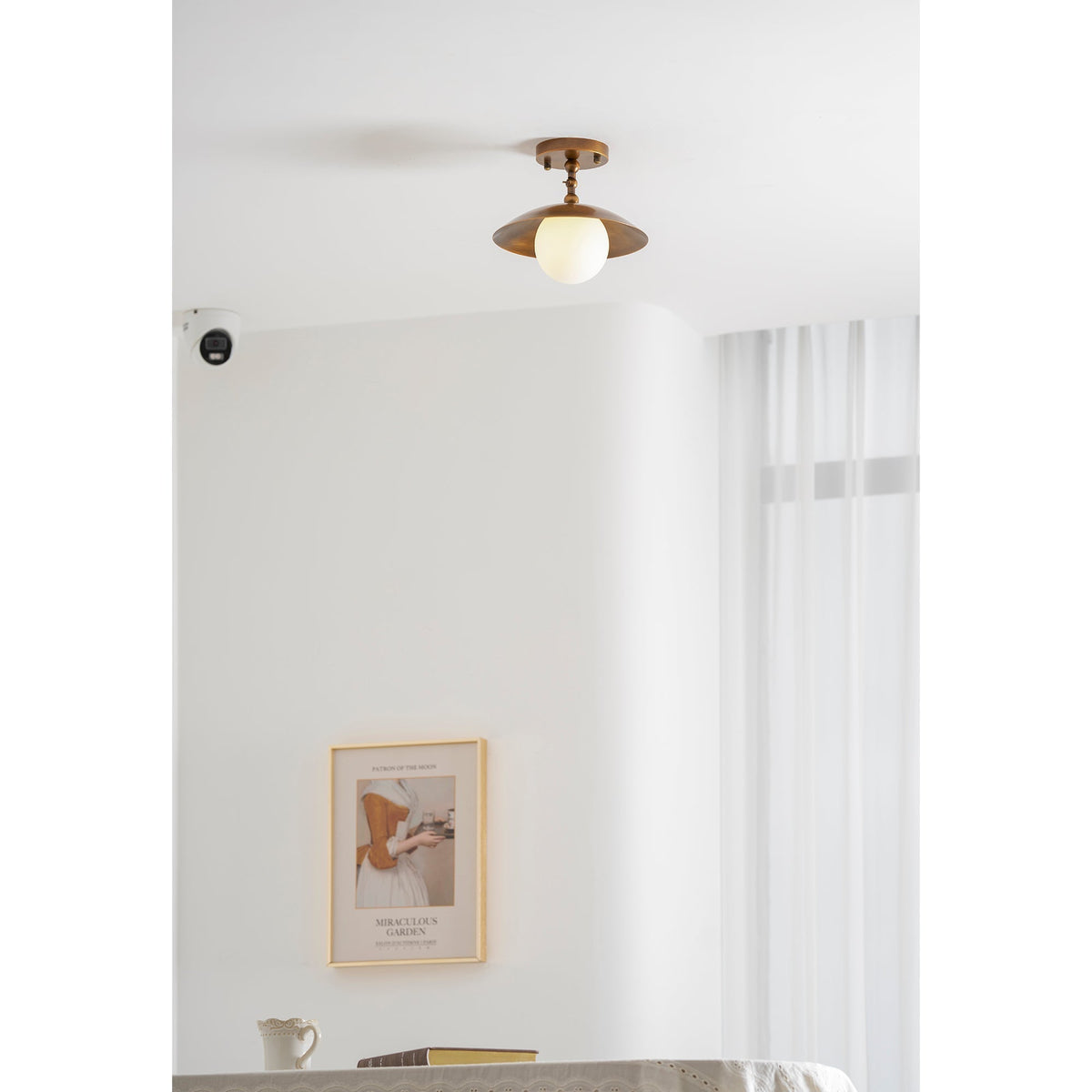Terieneon plafondlamp